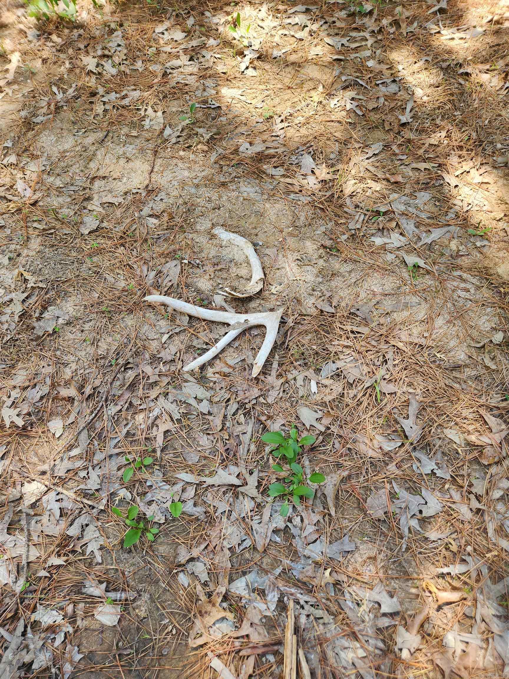 13000 W 54  Pine Bluff, AR