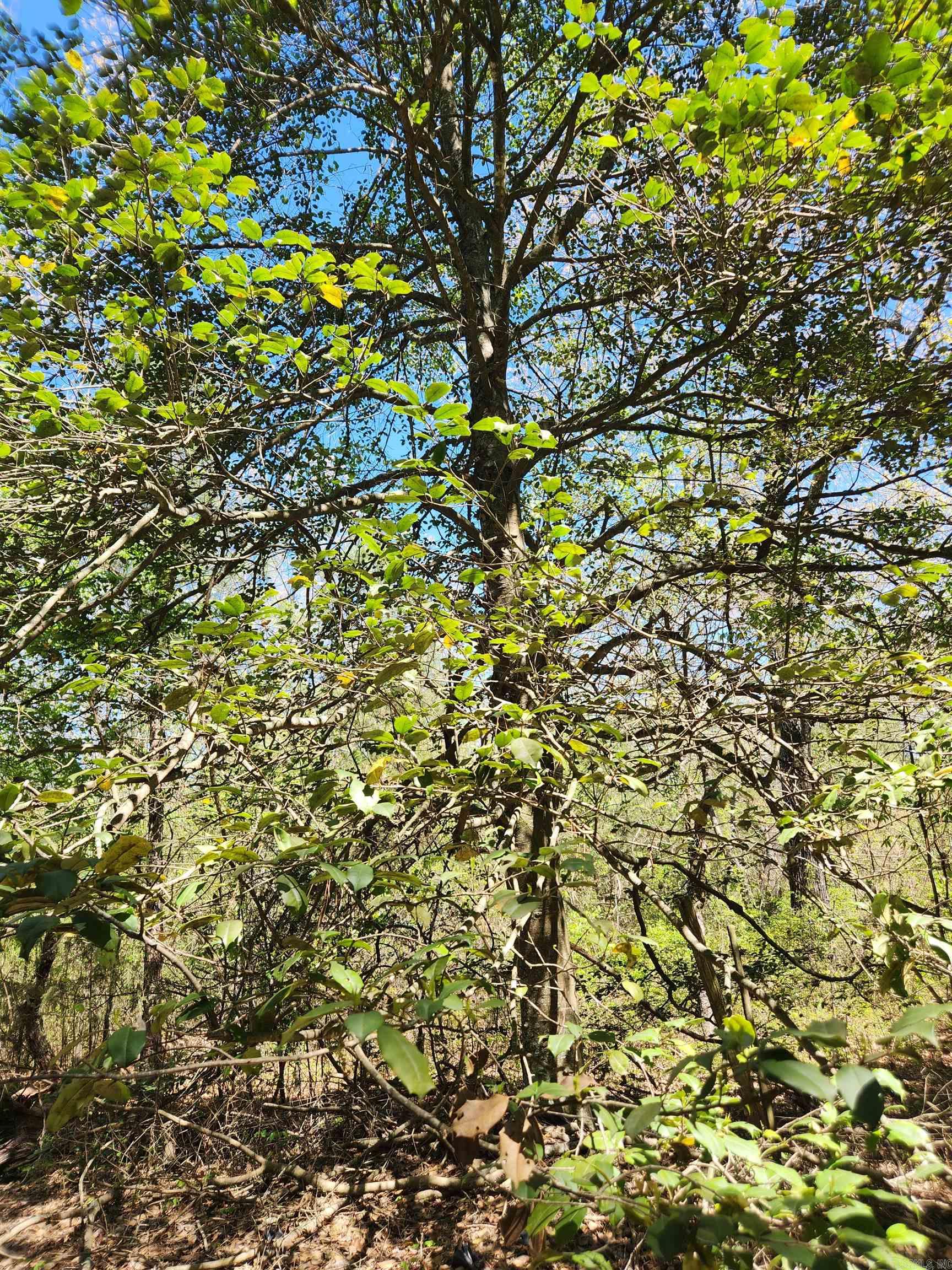 13000 W 54  Pine Bluff, AR