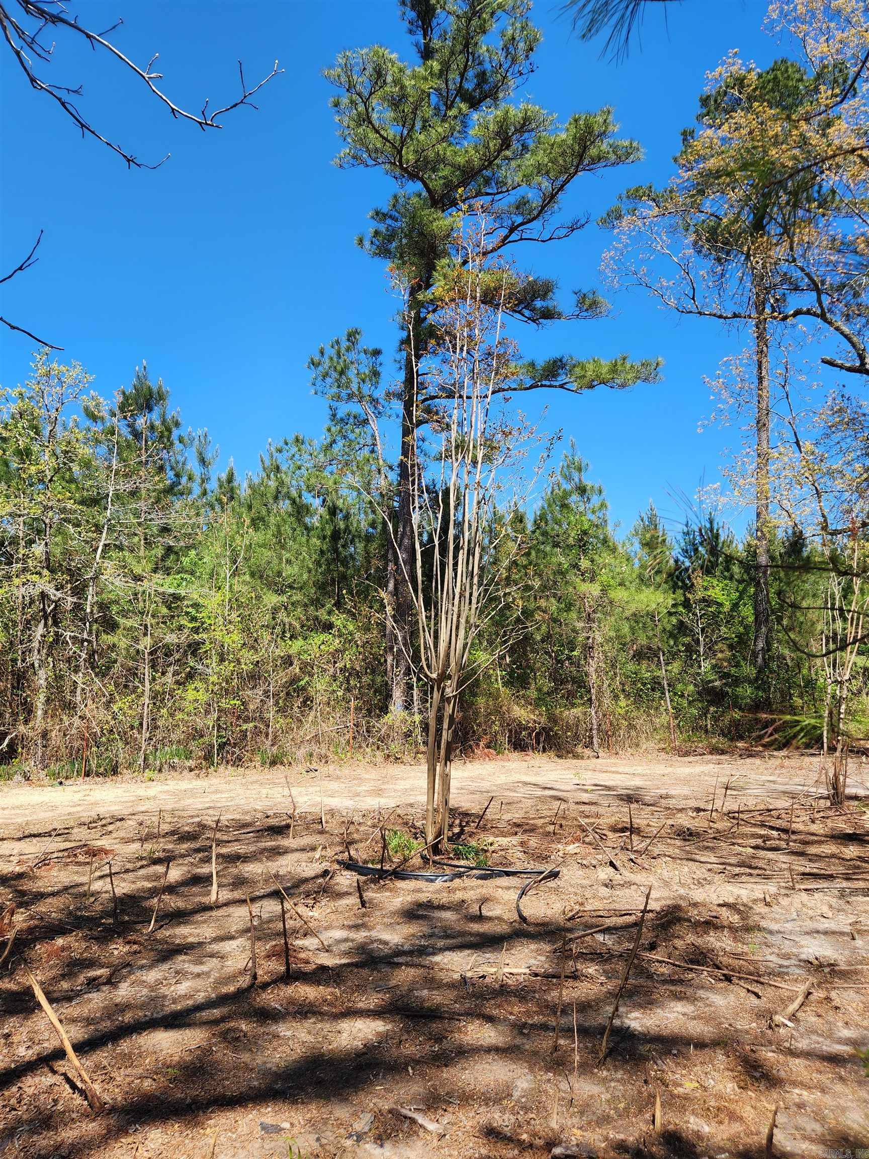 13000 W 54  Pine Bluff, AR