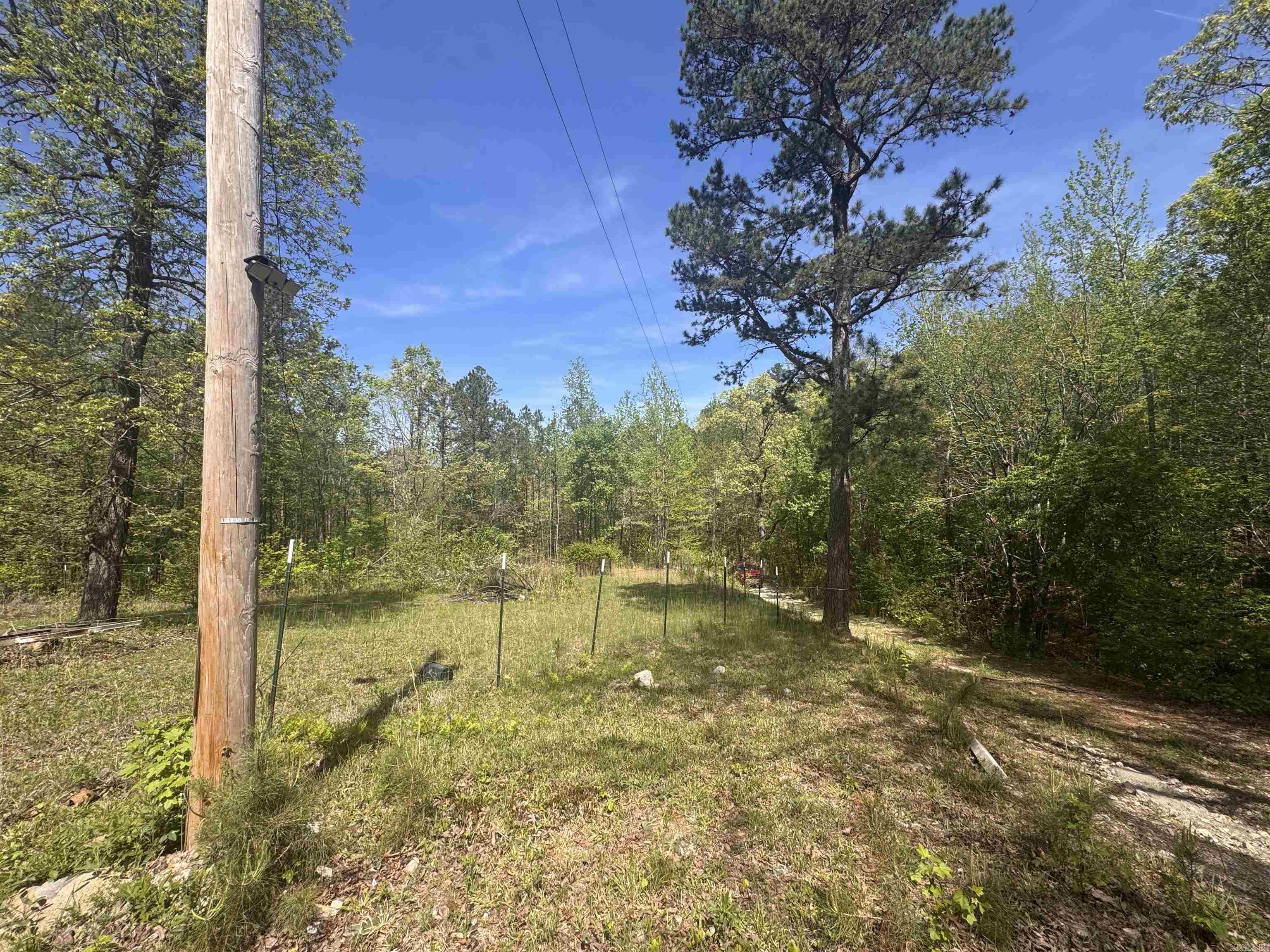 145 Crepe Myrtle  Hot Springs, AR