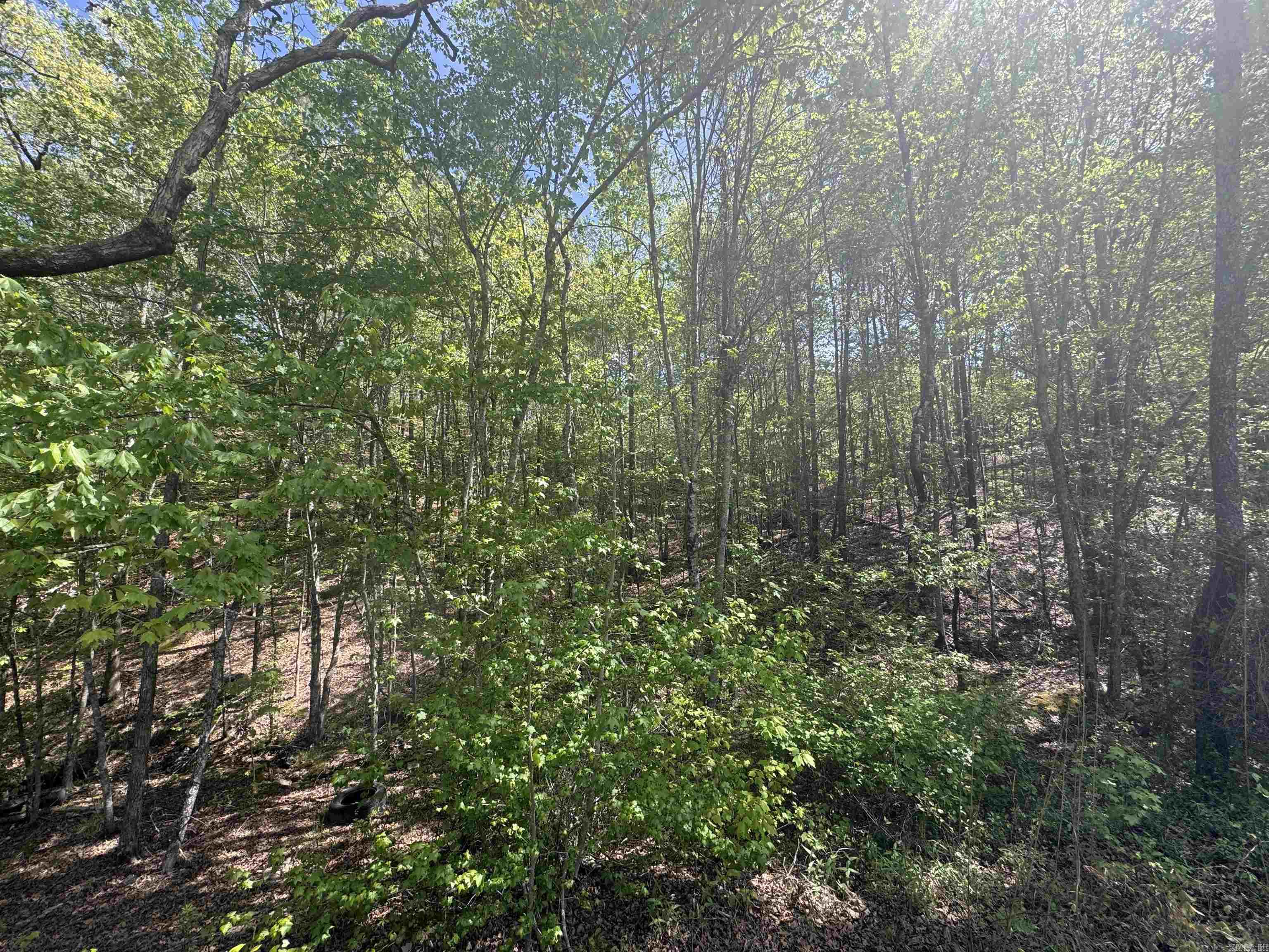 145 Crepe Myrtle  Hot Springs, AR