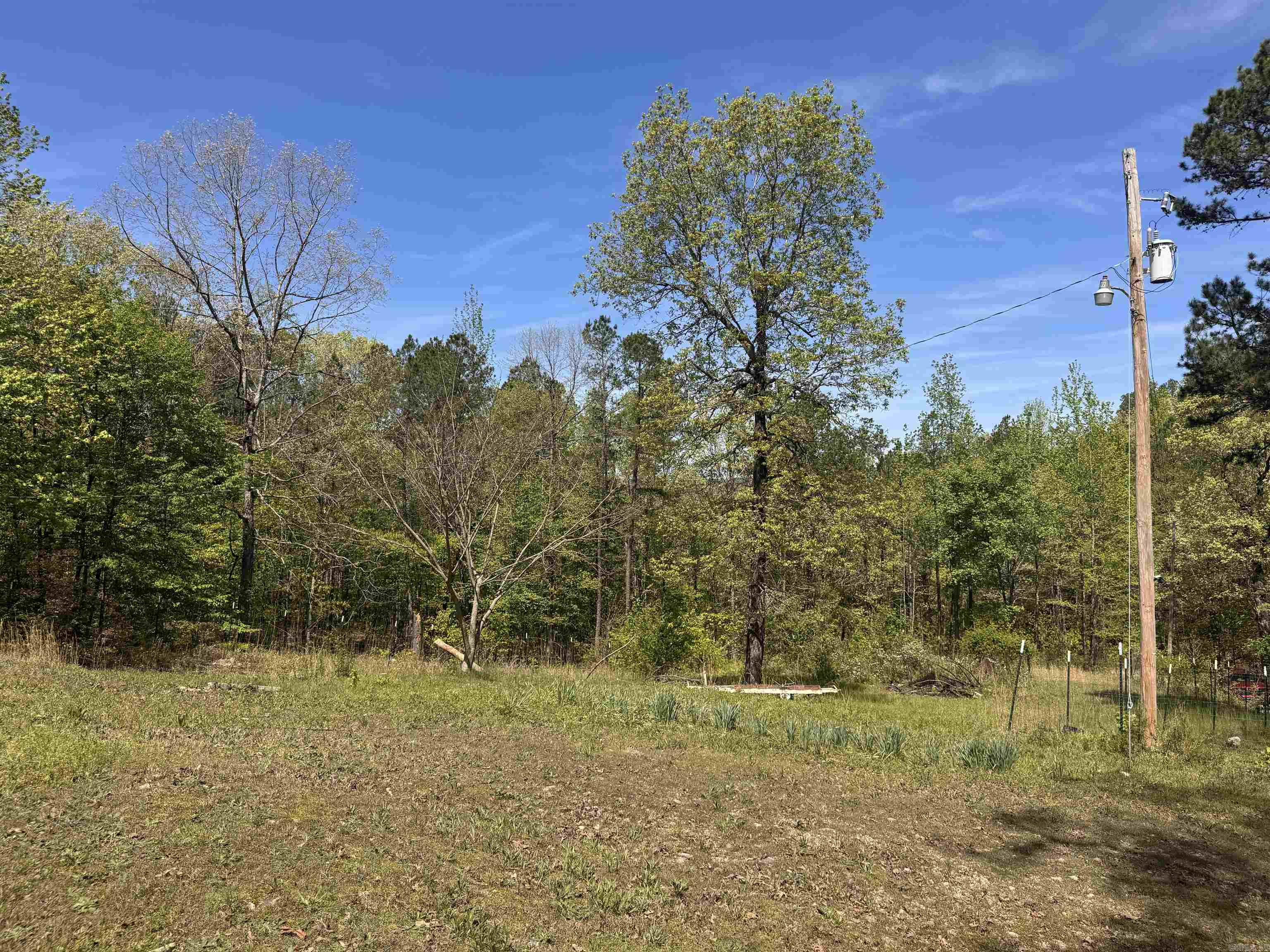 145 Crepe Myrtle  Hot Springs, AR