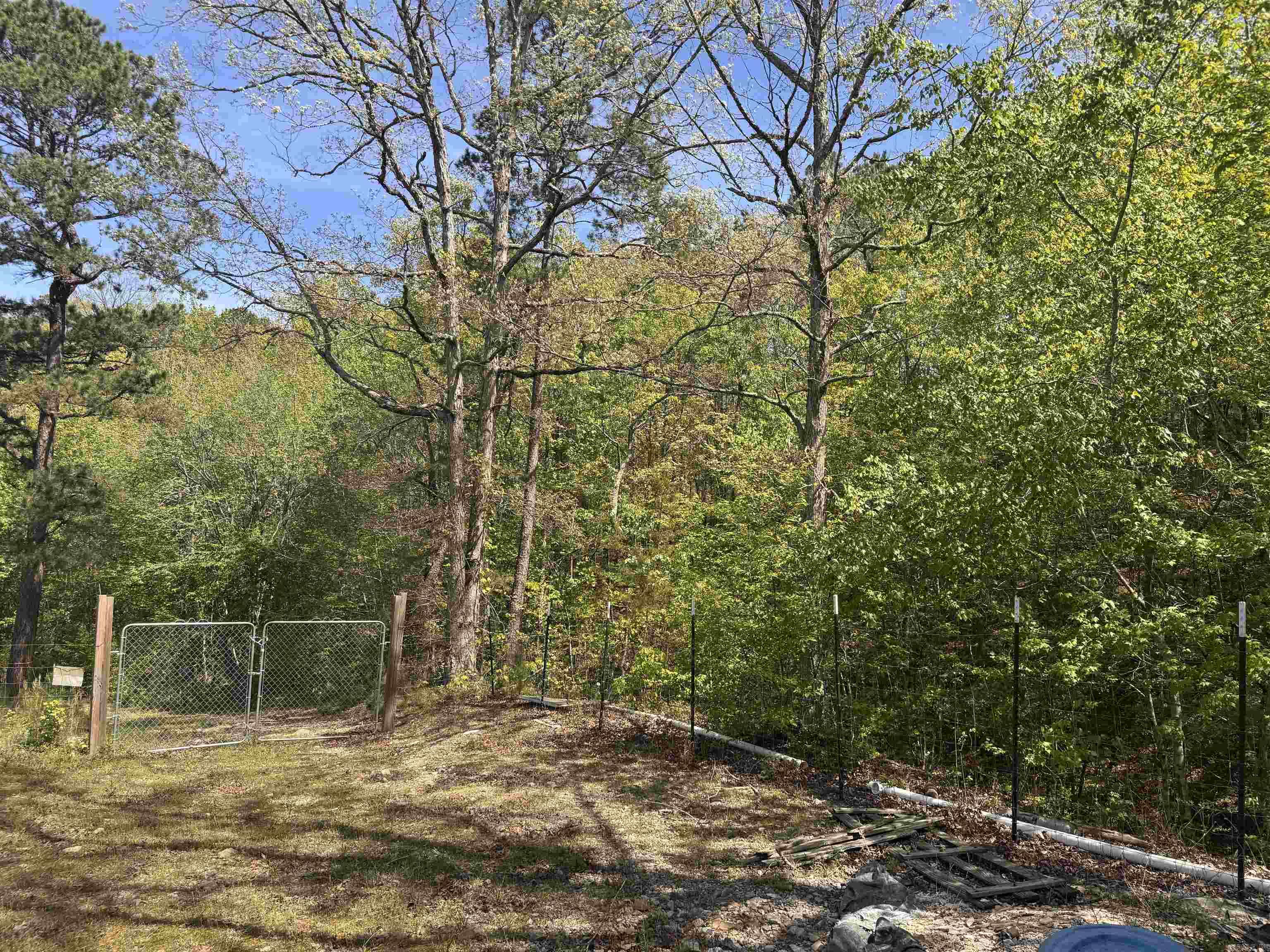 145 Crepe Myrtle  Hot Springs, AR