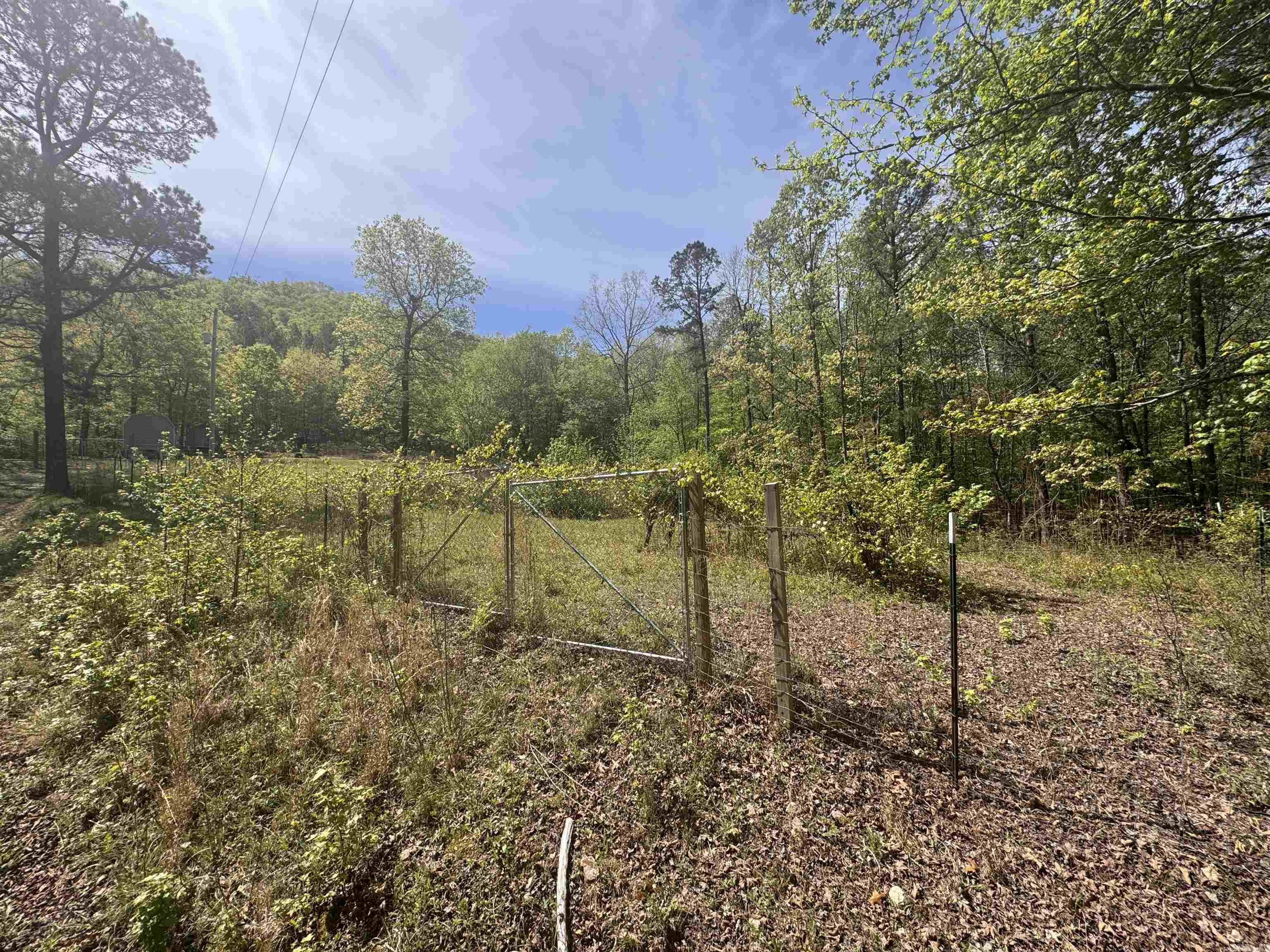 145 Crepe Myrtle  Hot Springs, AR