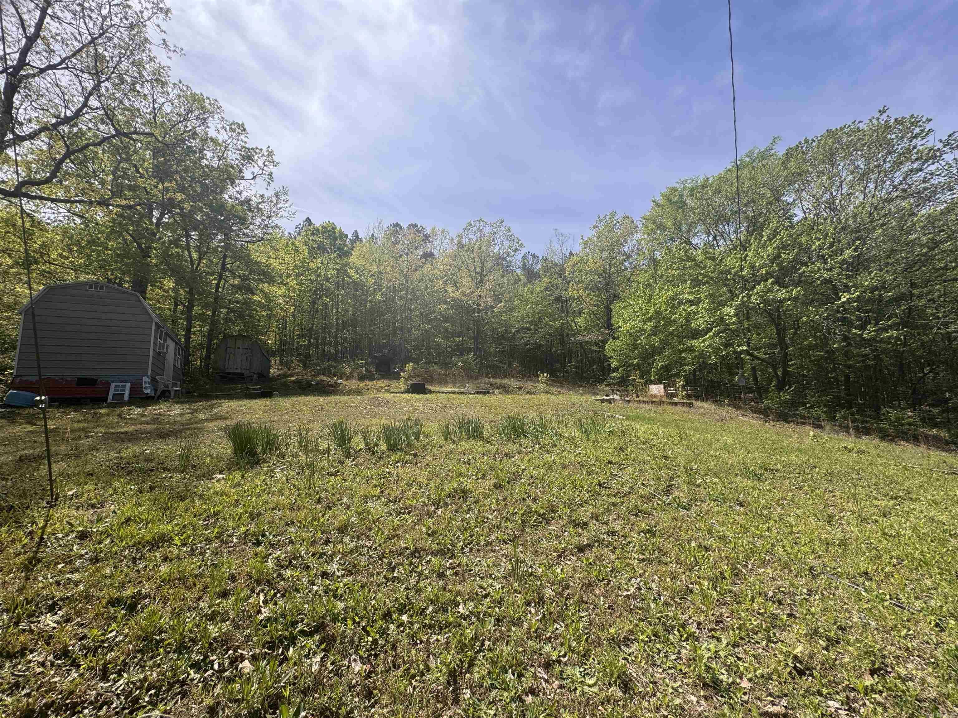 145 Crepe Myrtle  Hot Springs, AR