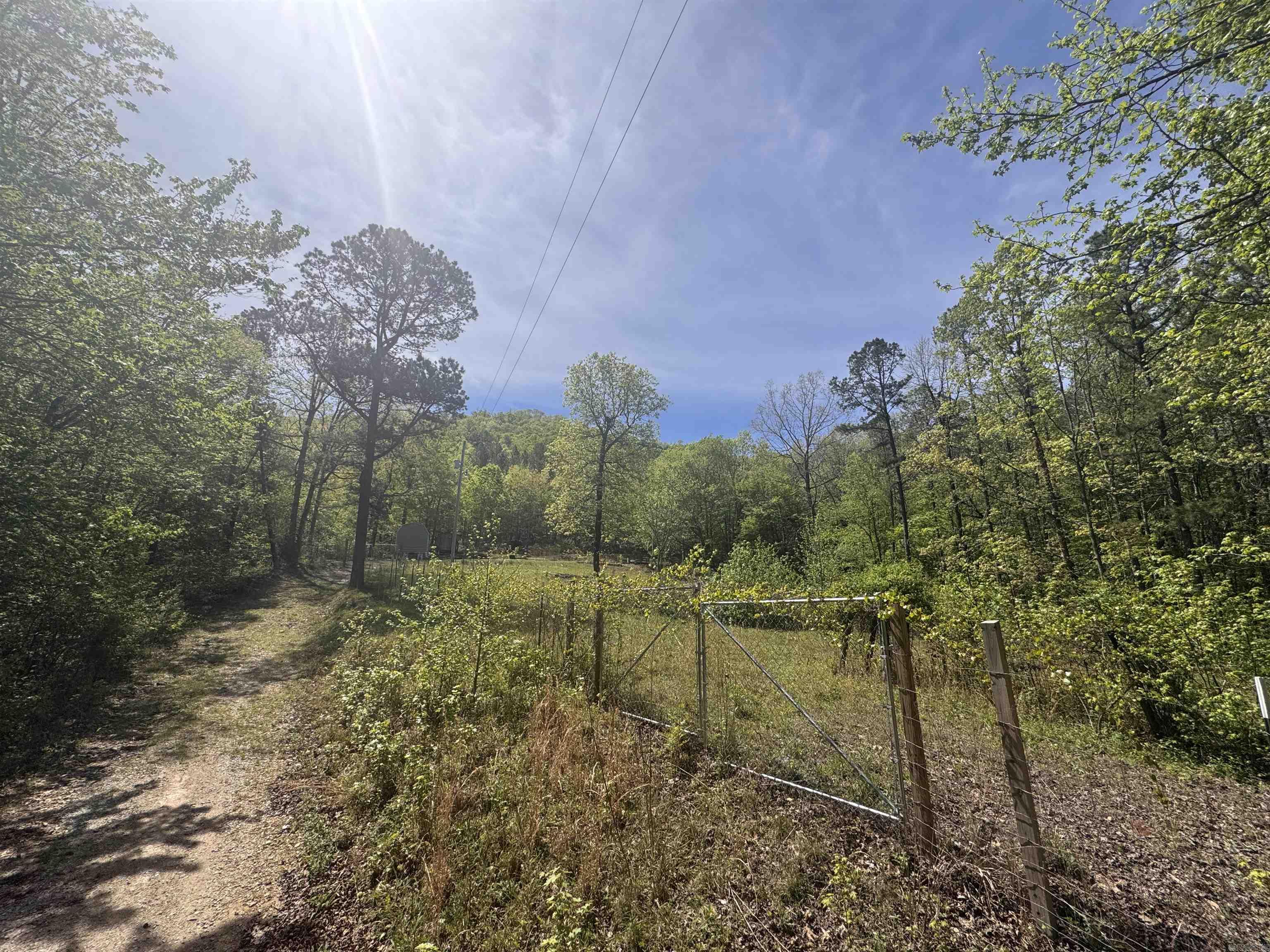 145 Crepe Myrtle  Hot Springs, AR