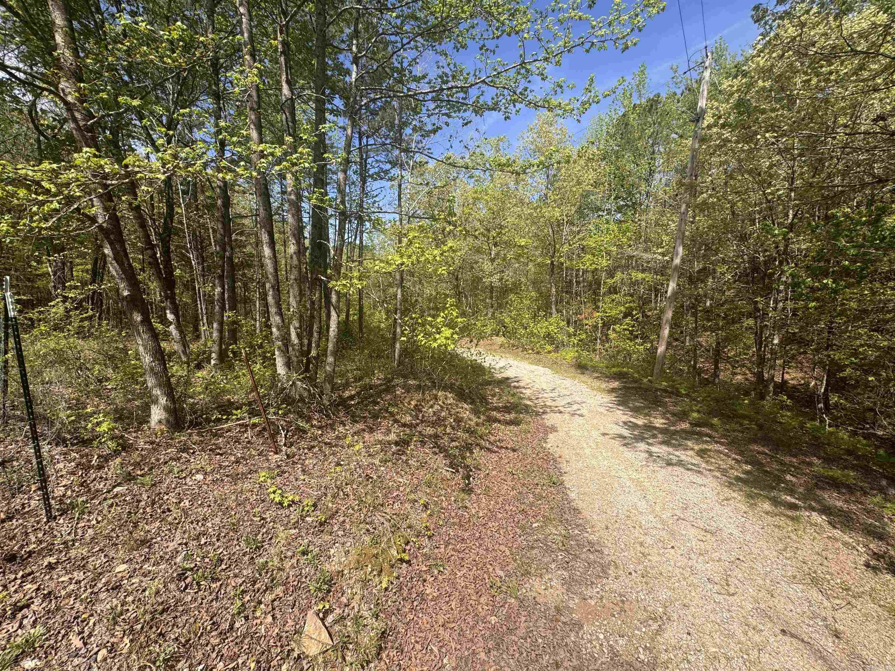 145 Crepe Myrtle  Hot Springs, AR