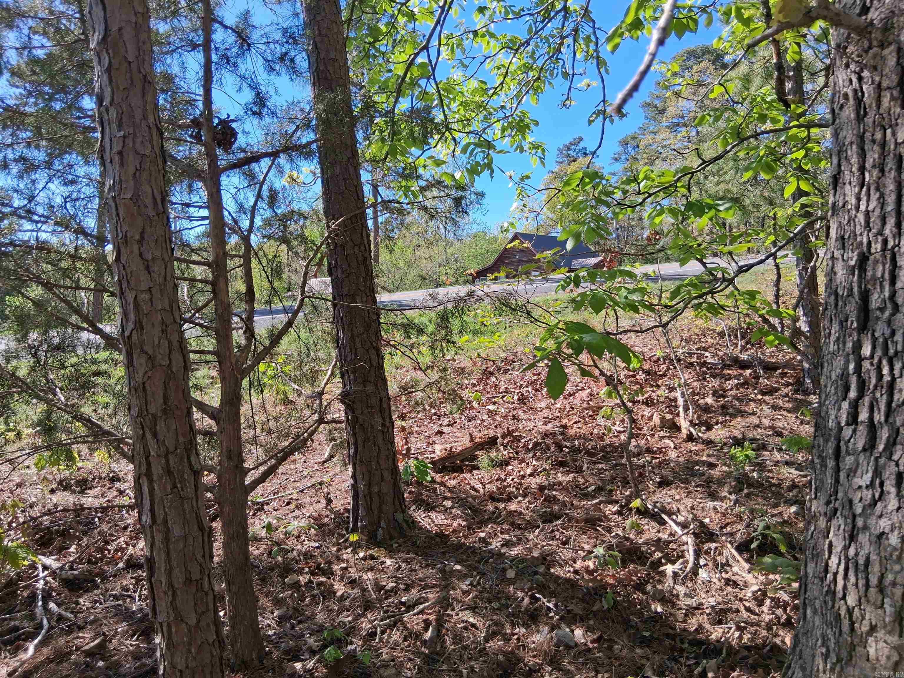 TBD Hwy 14  Mountain View, AR