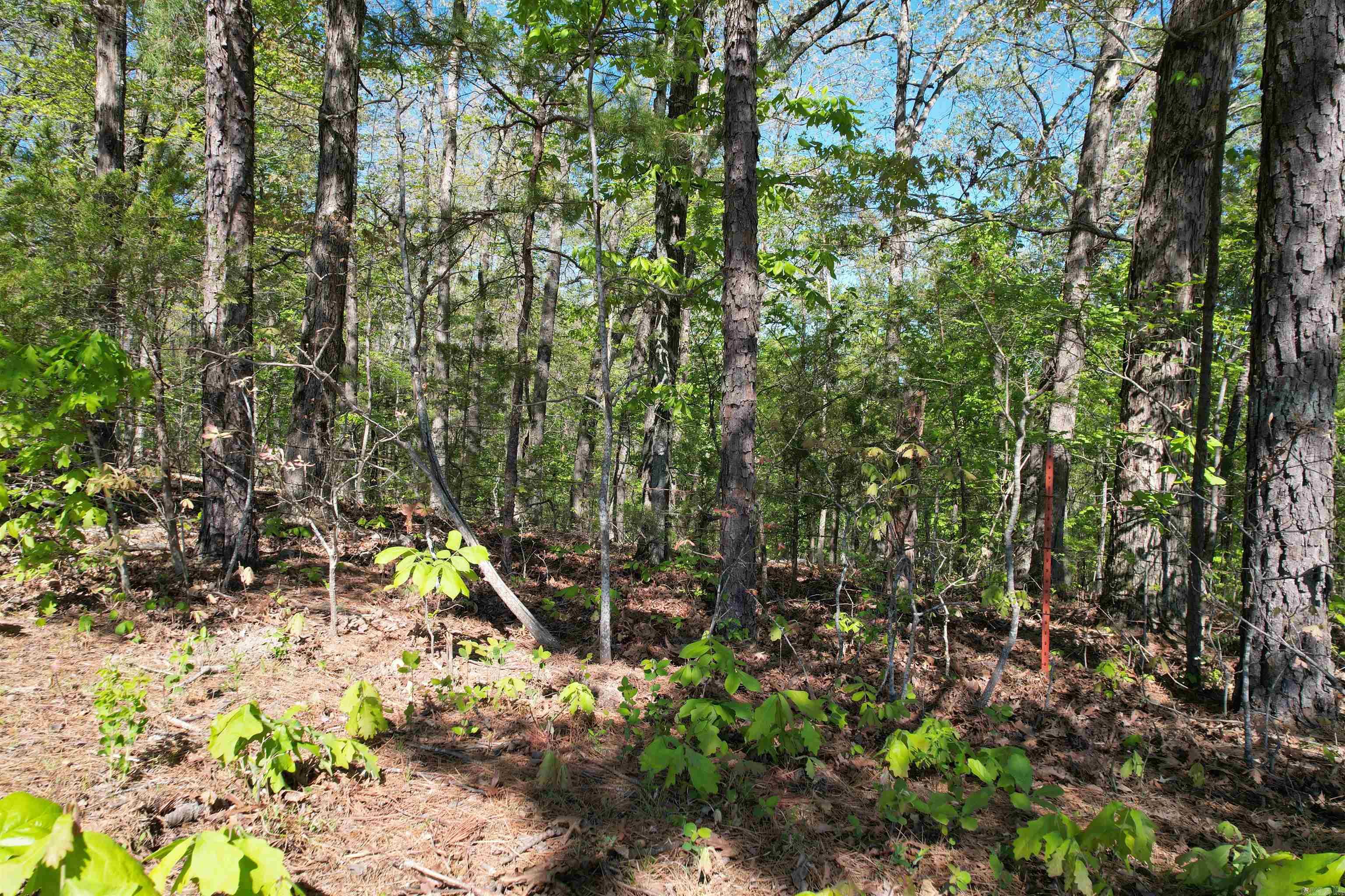 TBD Hwy 14  Mountain View, AR