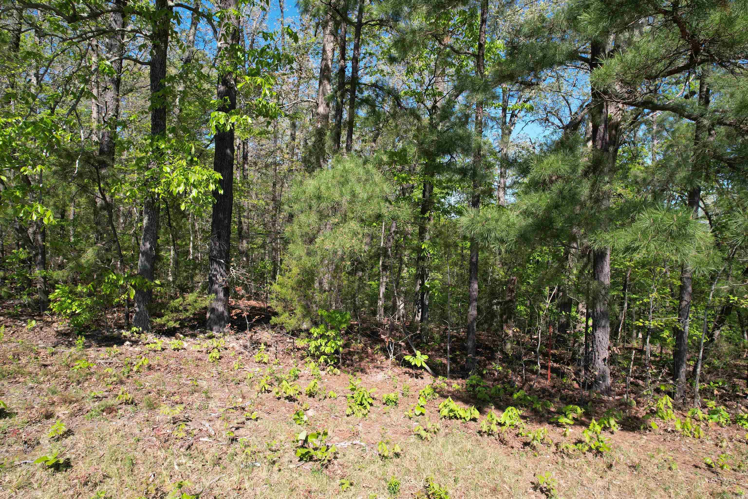 TBD Hwy 14  Mountain View, AR