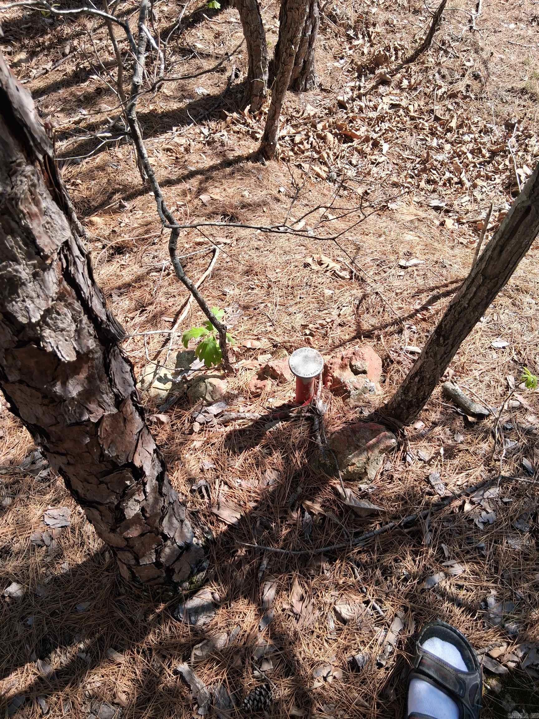 TBD Hwy 14  Mountain View, AR