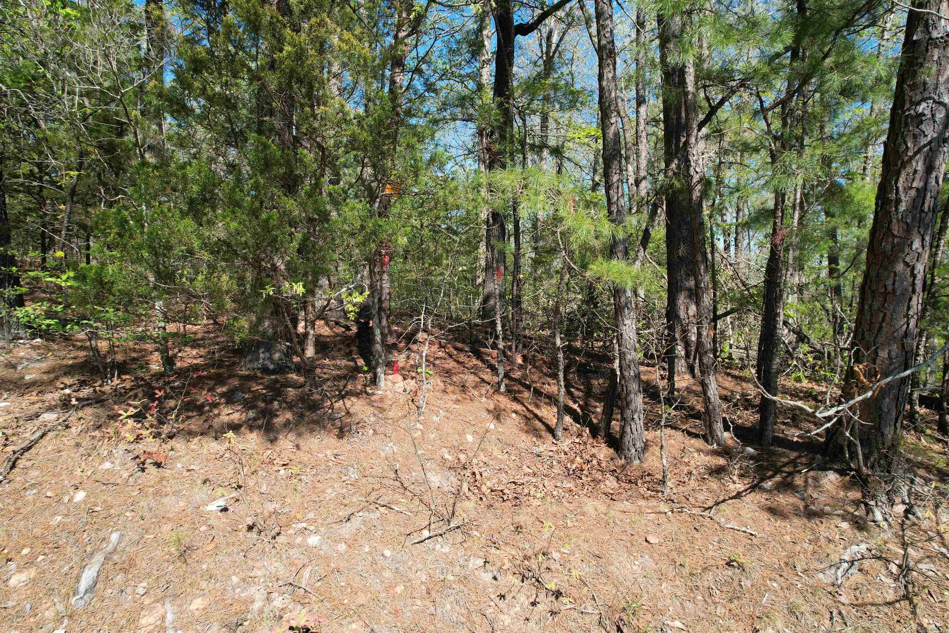 TBD Hwy 14  Mountain View, AR