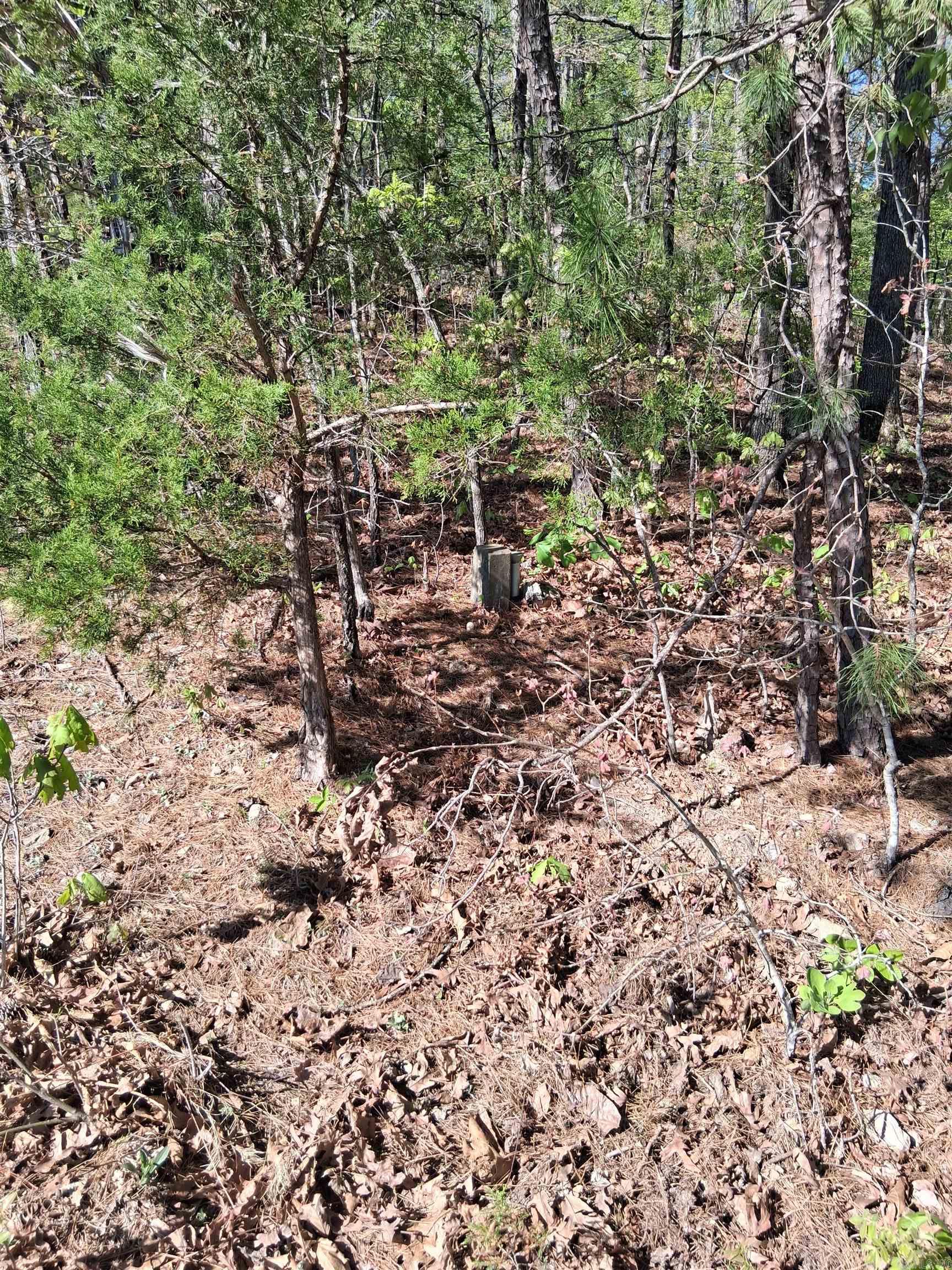 TBD Hwy 14  Mountain View, AR