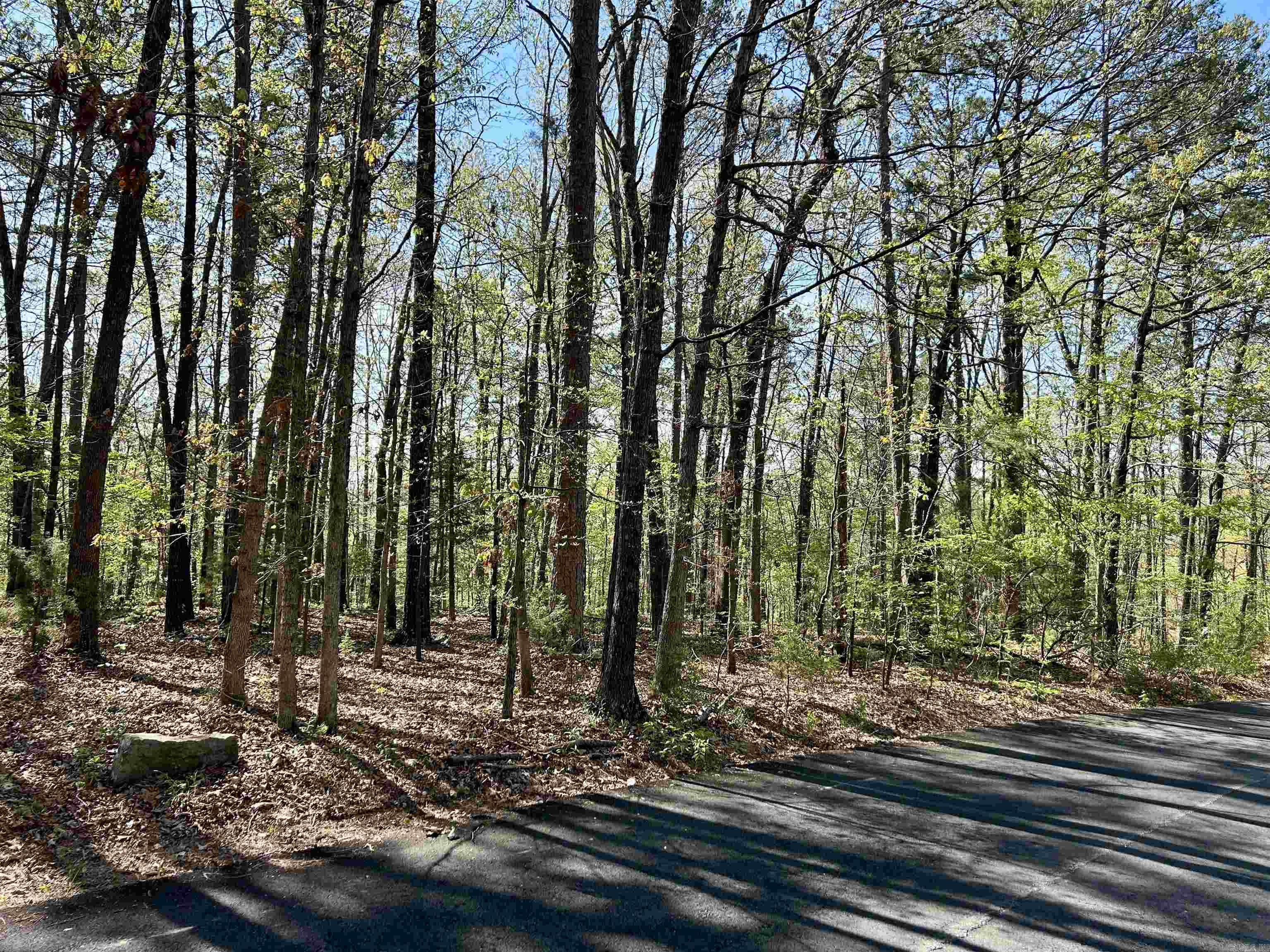 000 Wildwood  Mountain View, AR