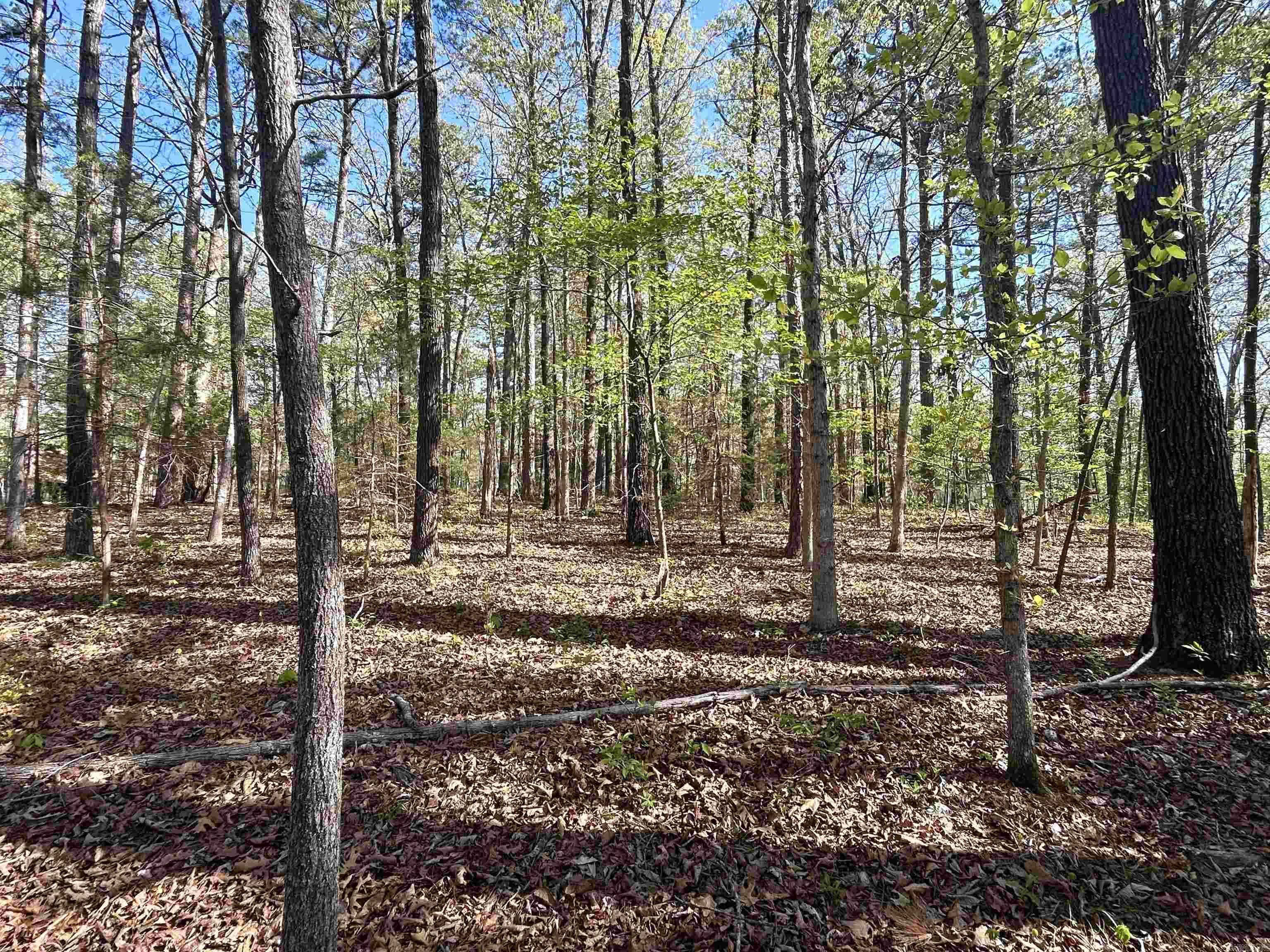 000 Wildwood  Mountain View, AR