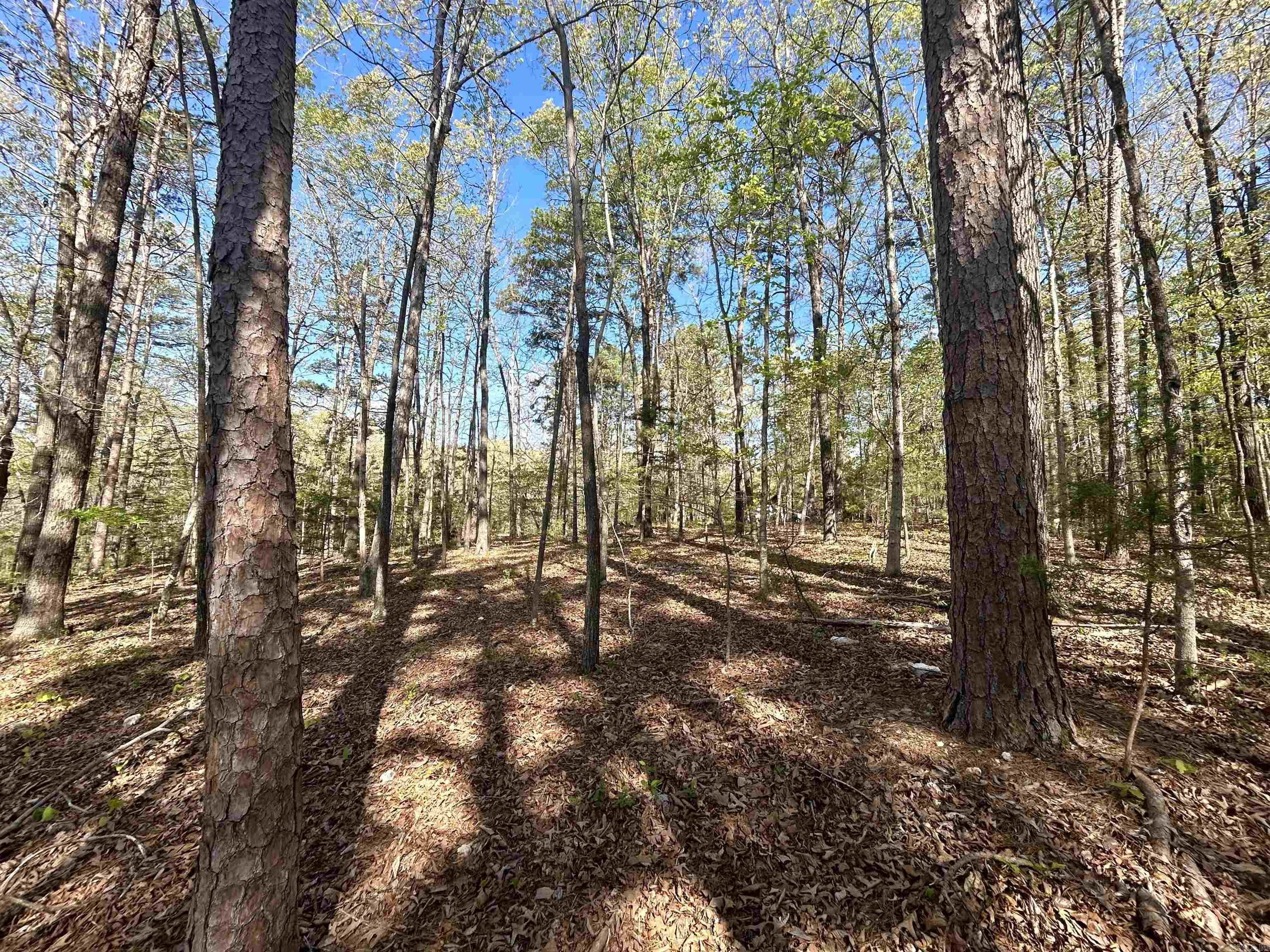 000 Wildwood  Mountain View, AR