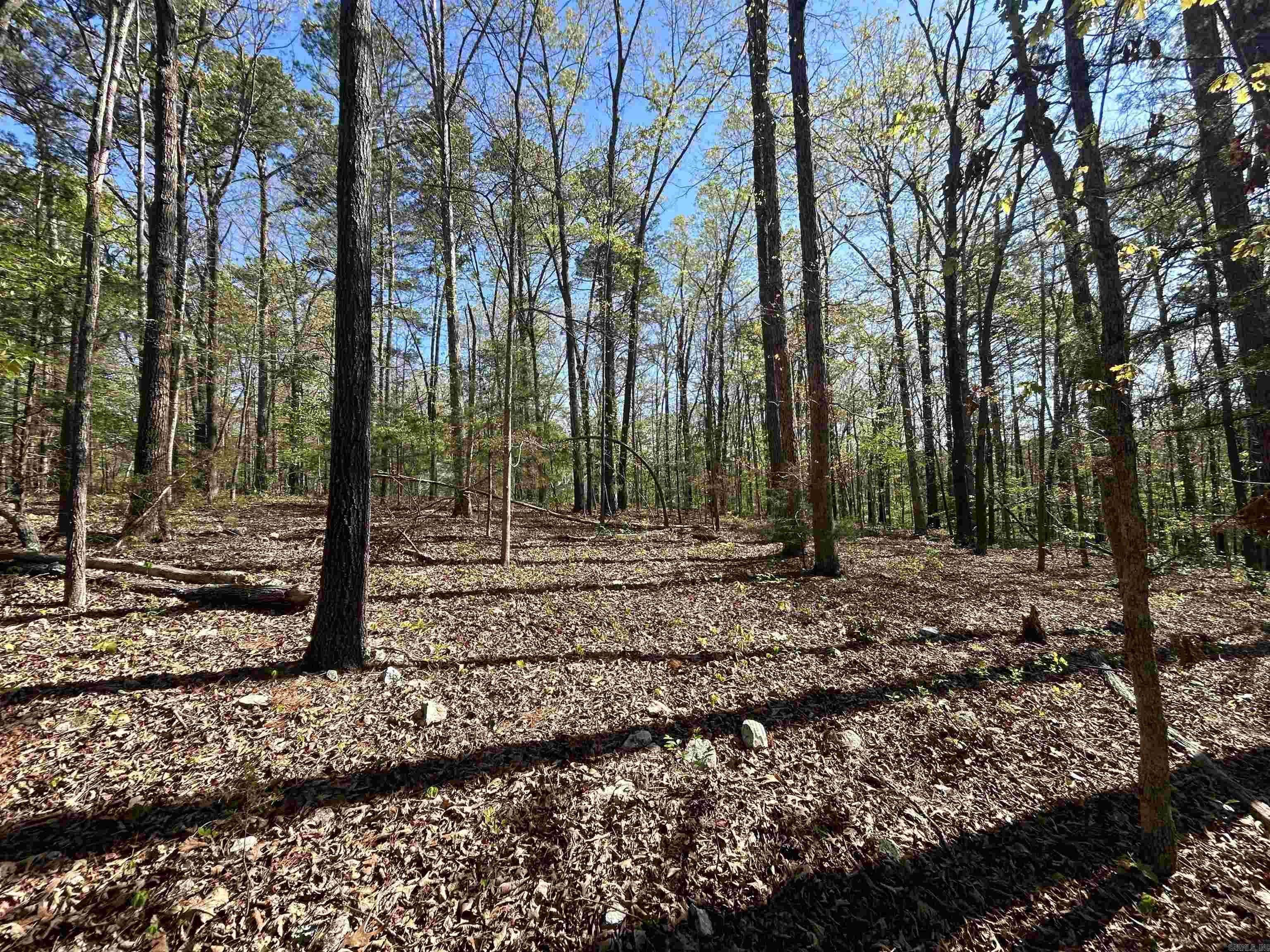 000 Wildwood  Mountain View, AR