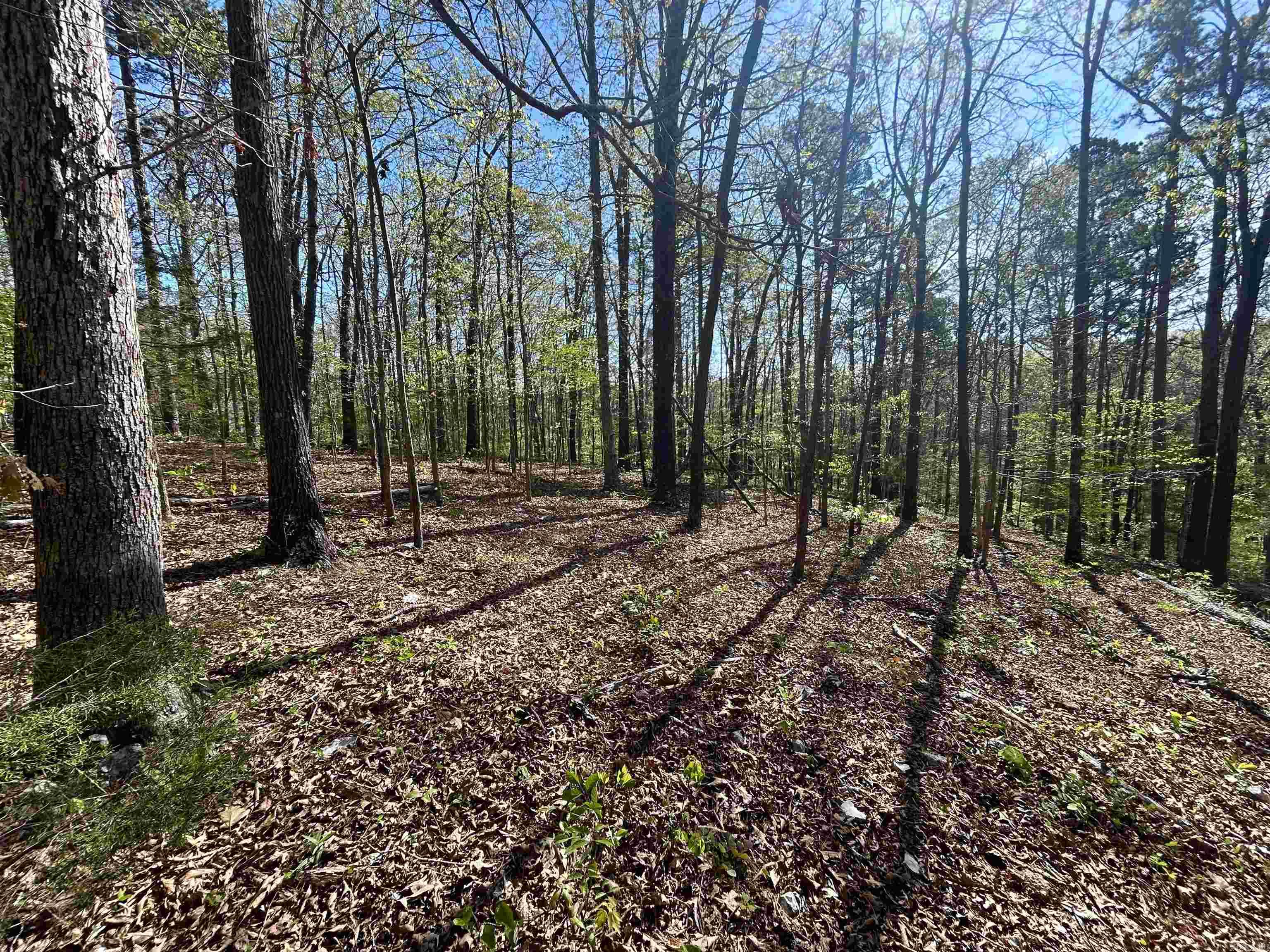 000 Wildwood  Mountain View, AR