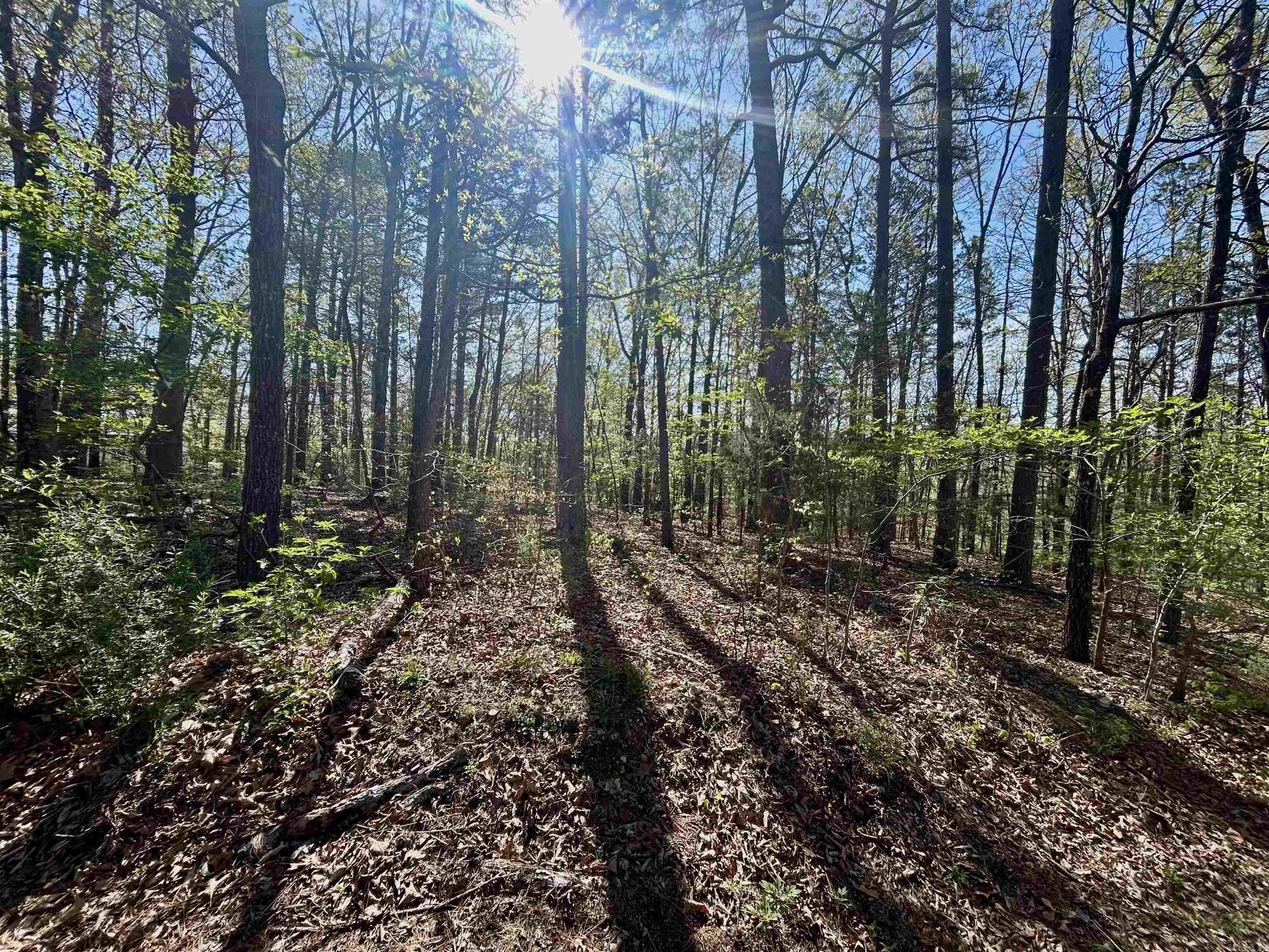 000 Wildwood  Mountain View, AR