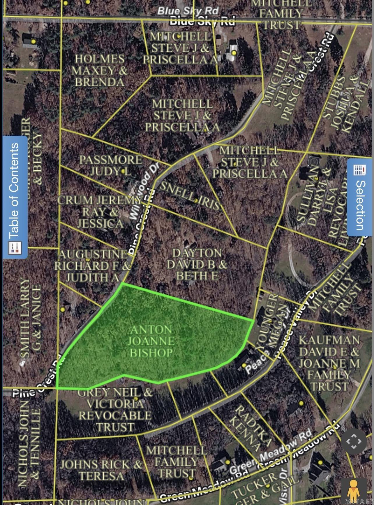 000 Wildwood  Mountain View, AR