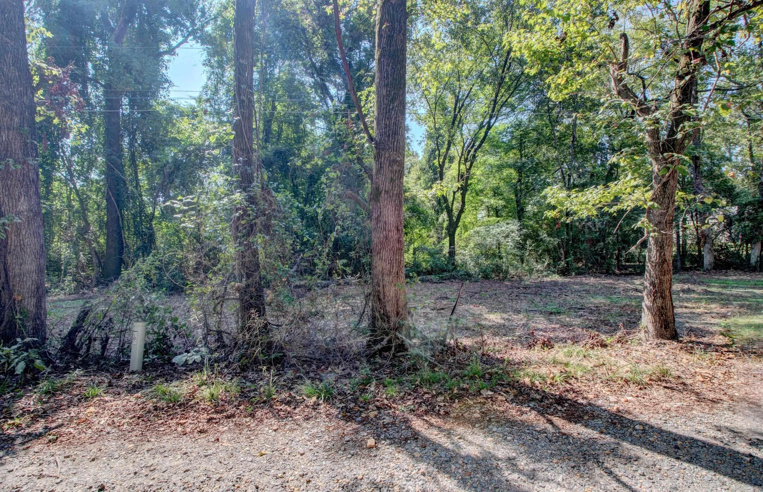 TBD Schnider  Alexander, AR