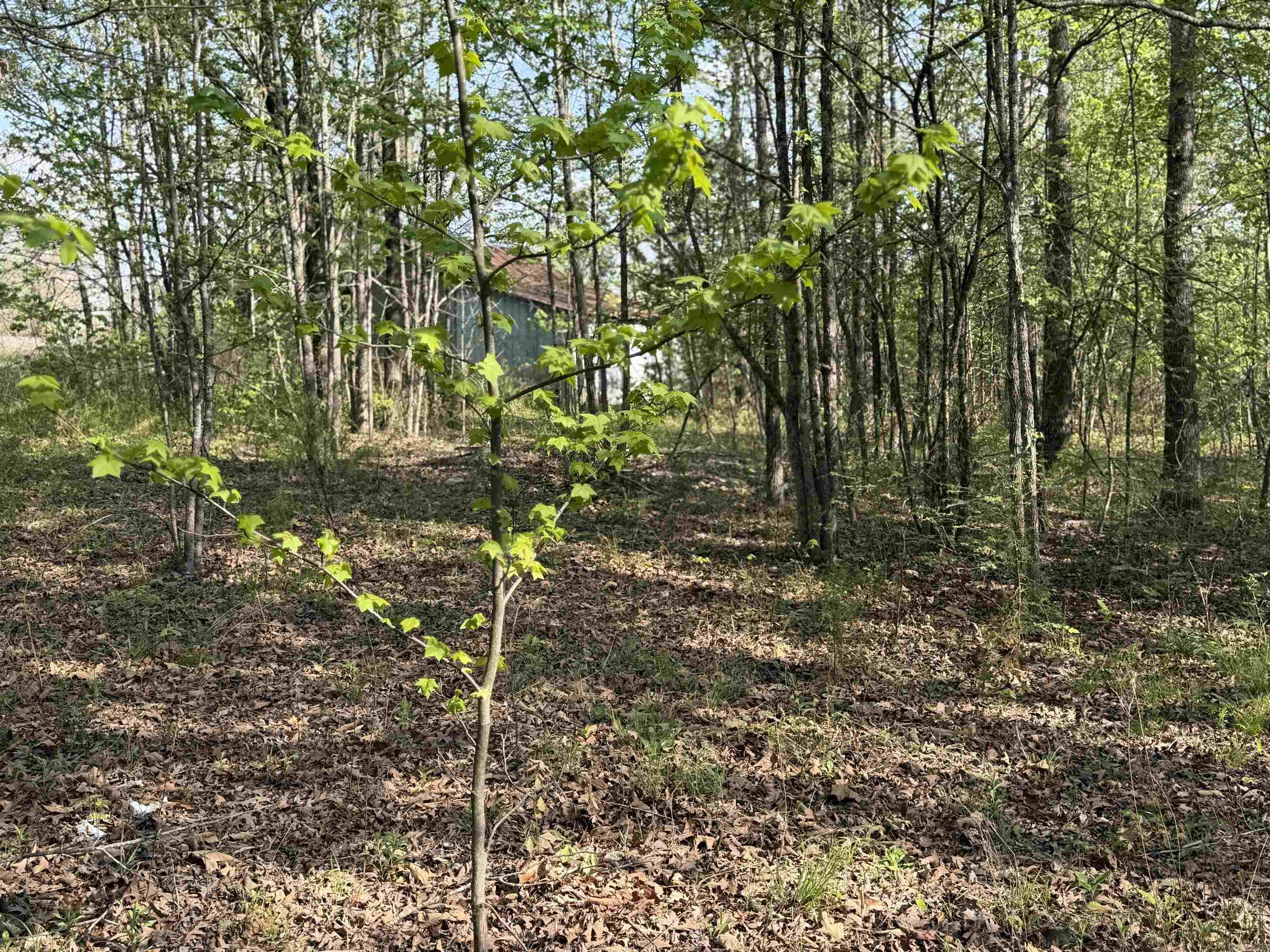 1989 Hwy 65  Clinton, AR