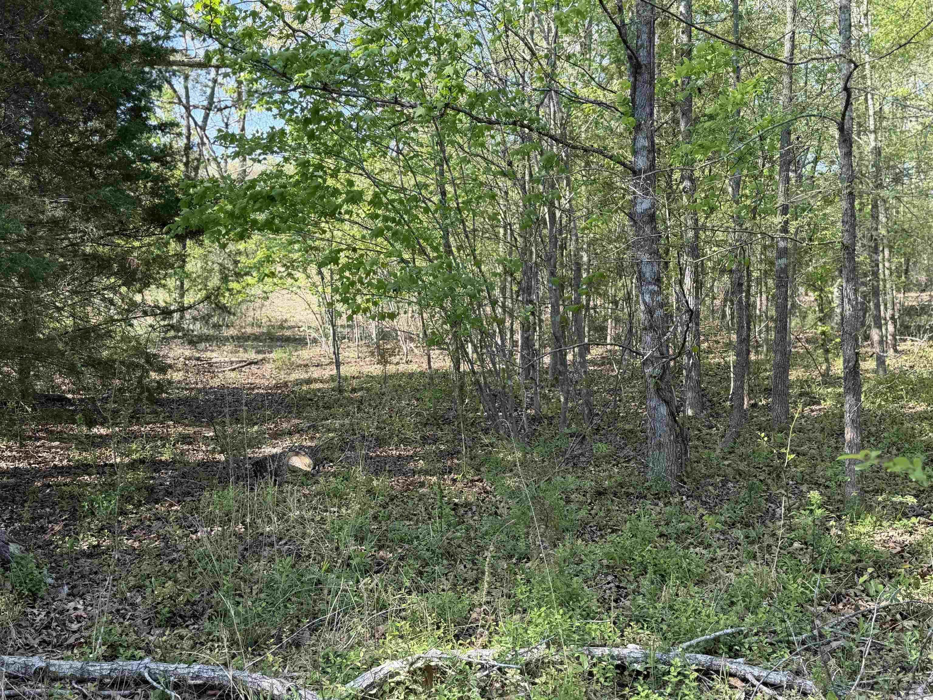 1989 Hwy 65  Clinton, AR