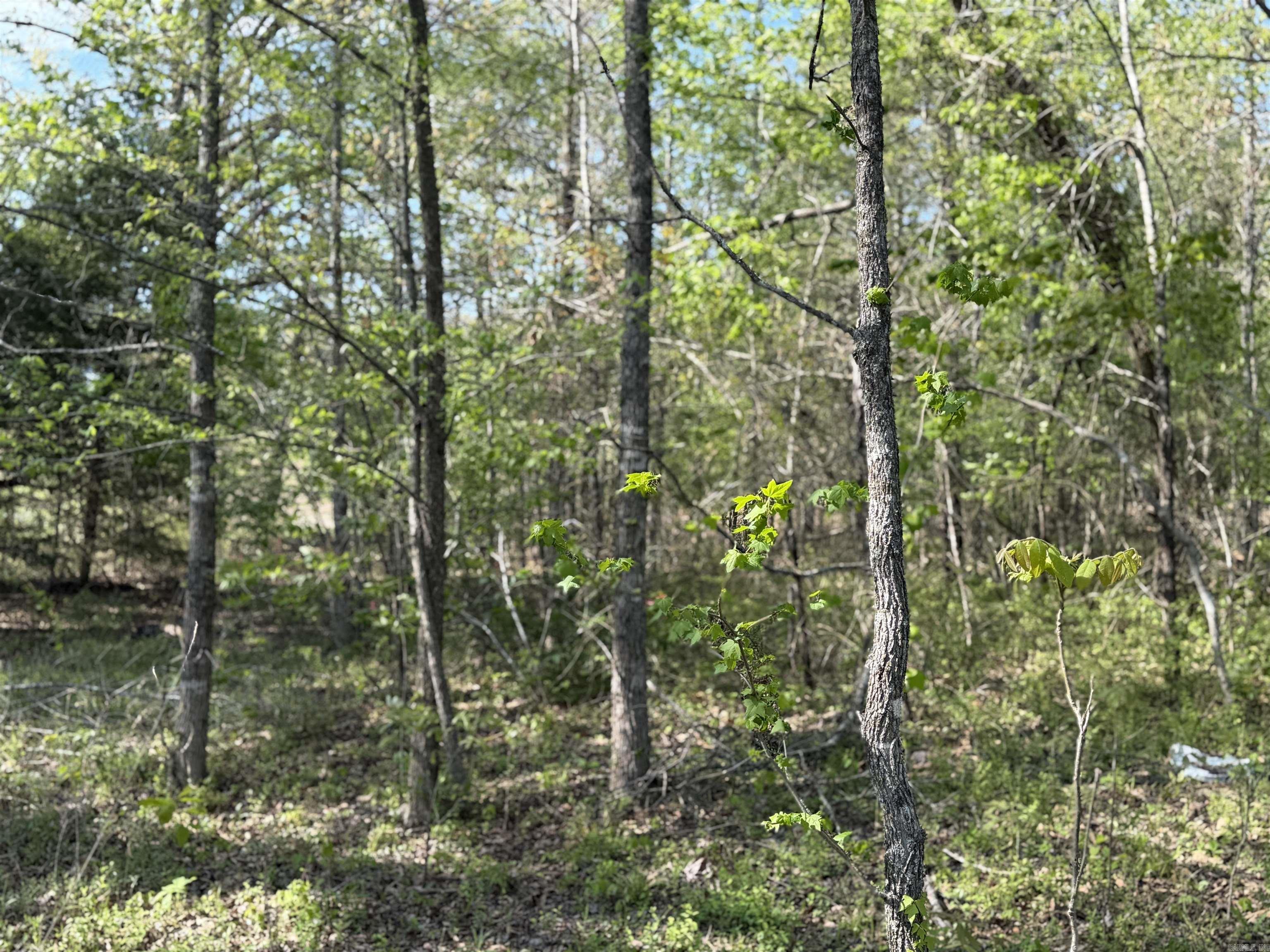 1989 Hwy 65  Clinton, AR