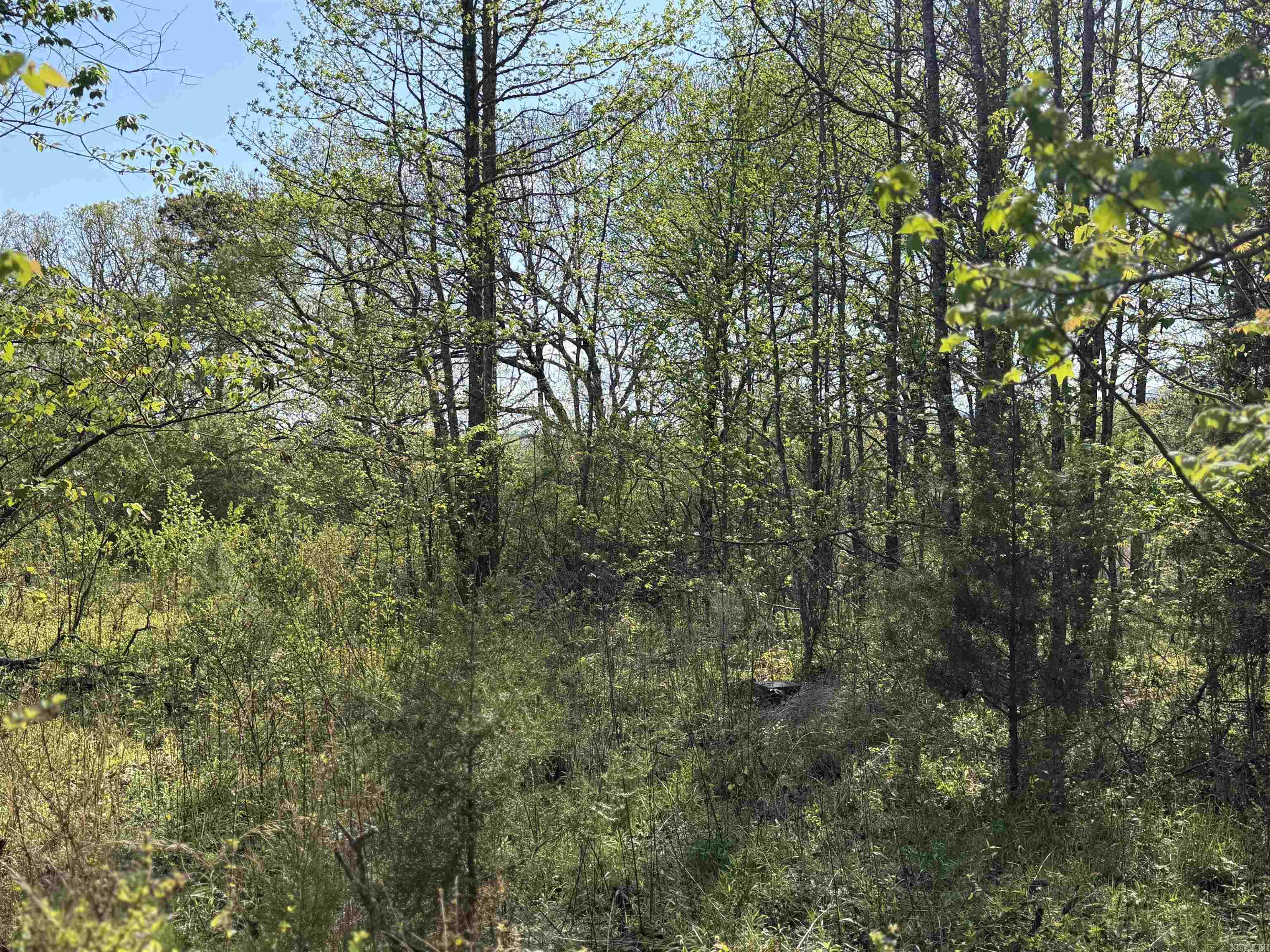 1989 Hwy 65  Clinton, AR
