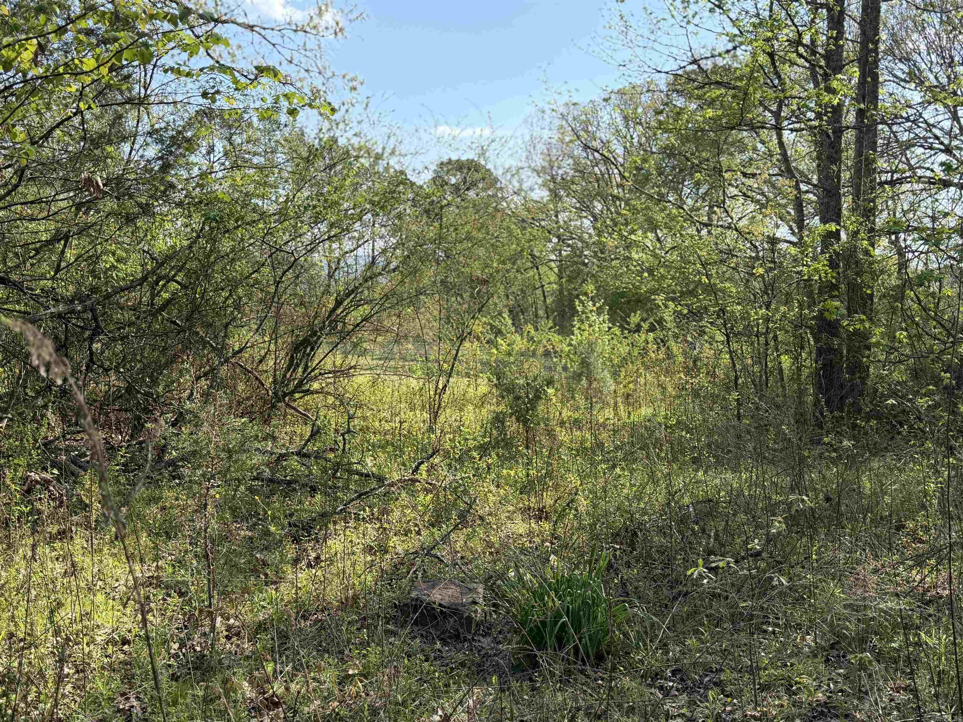 1989 Hwy 65  Clinton, AR