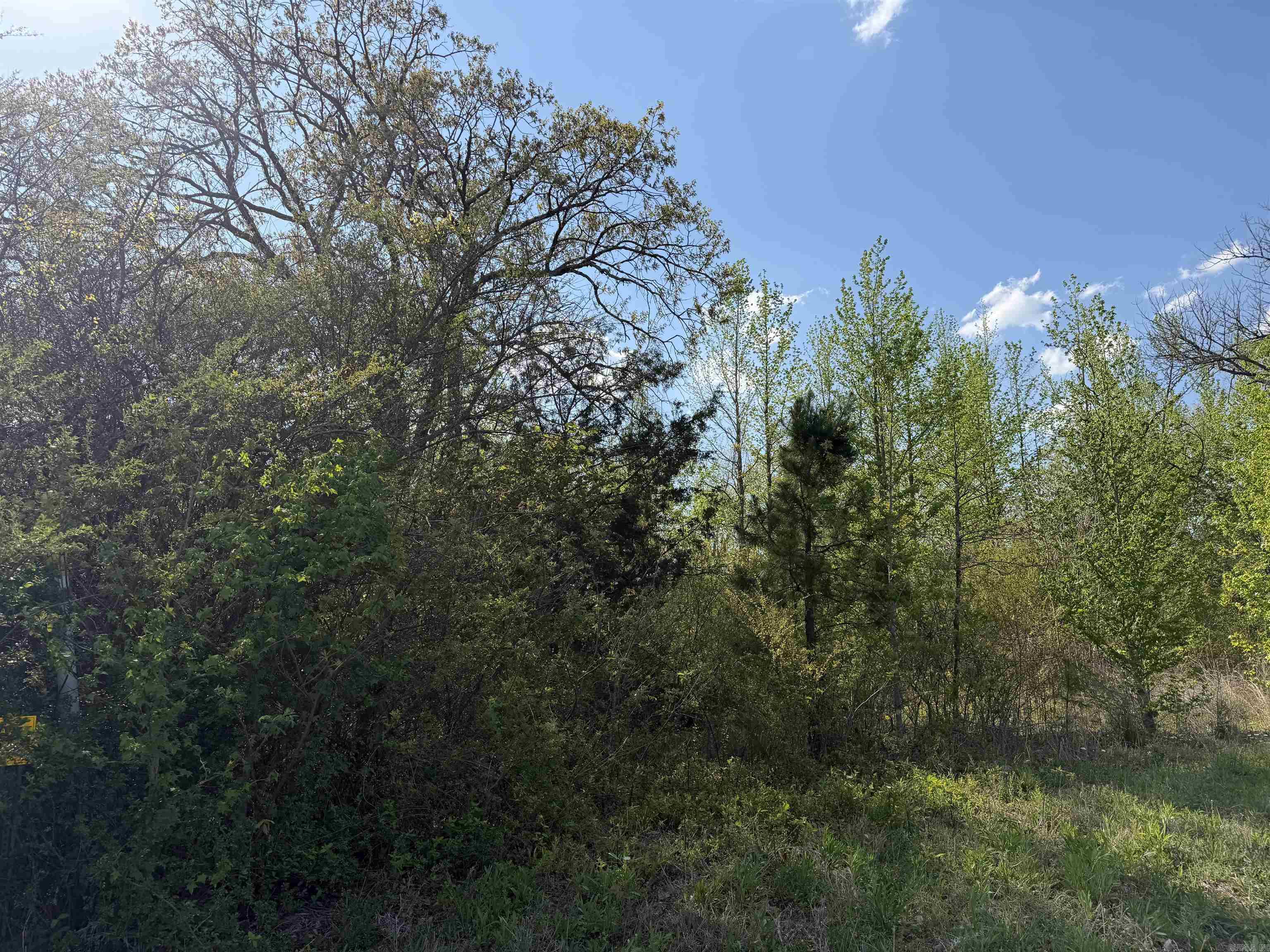 1989 Hwy 65  Clinton, AR