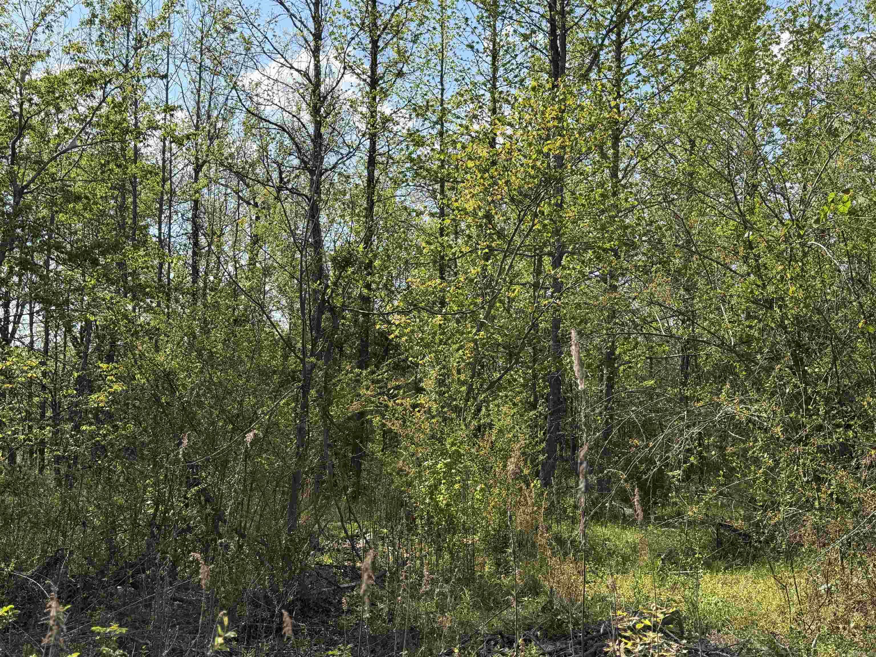 1989 Hwy 65  Clinton, AR
