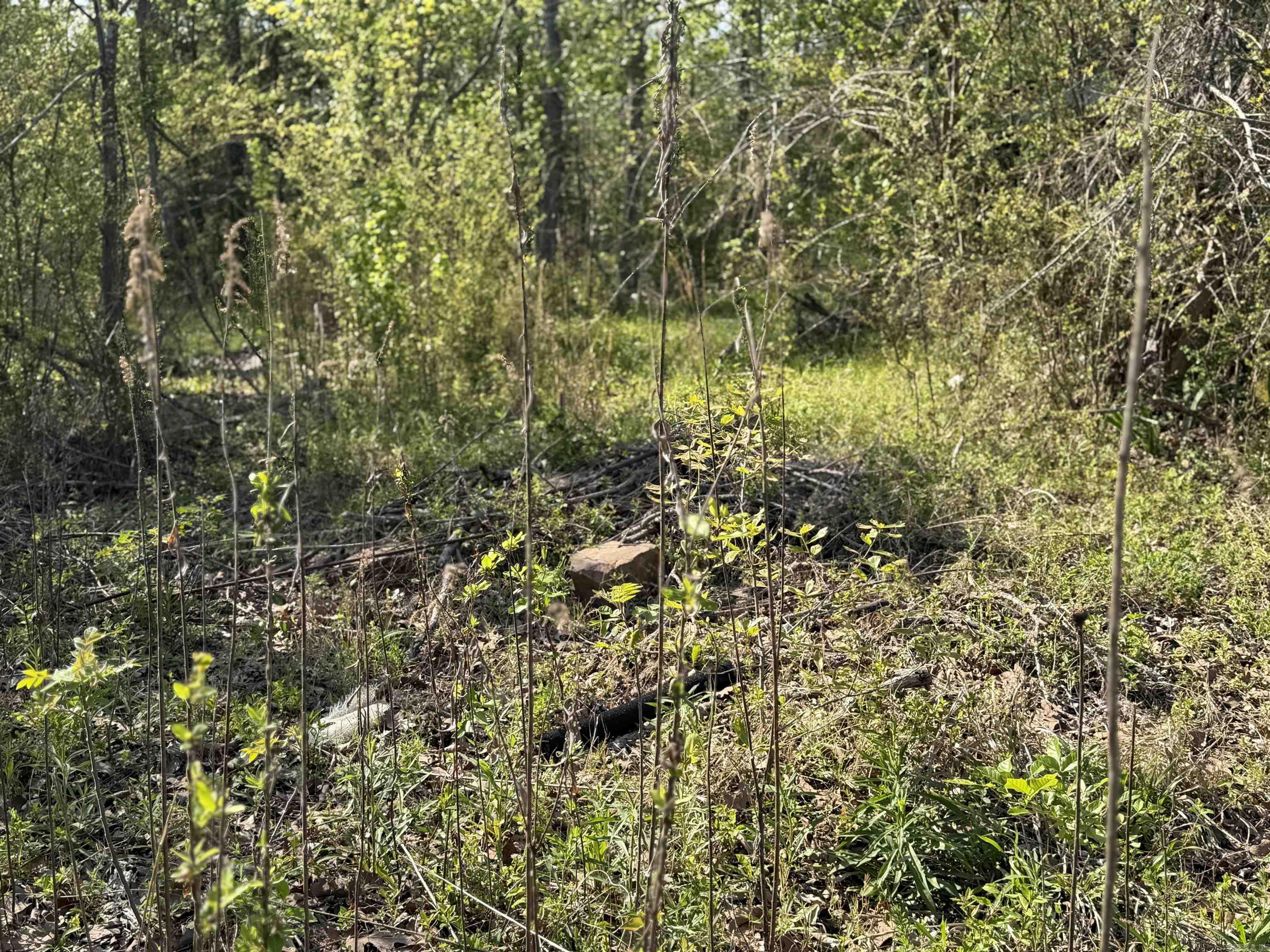 1989 Hwy 65  Clinton, AR
