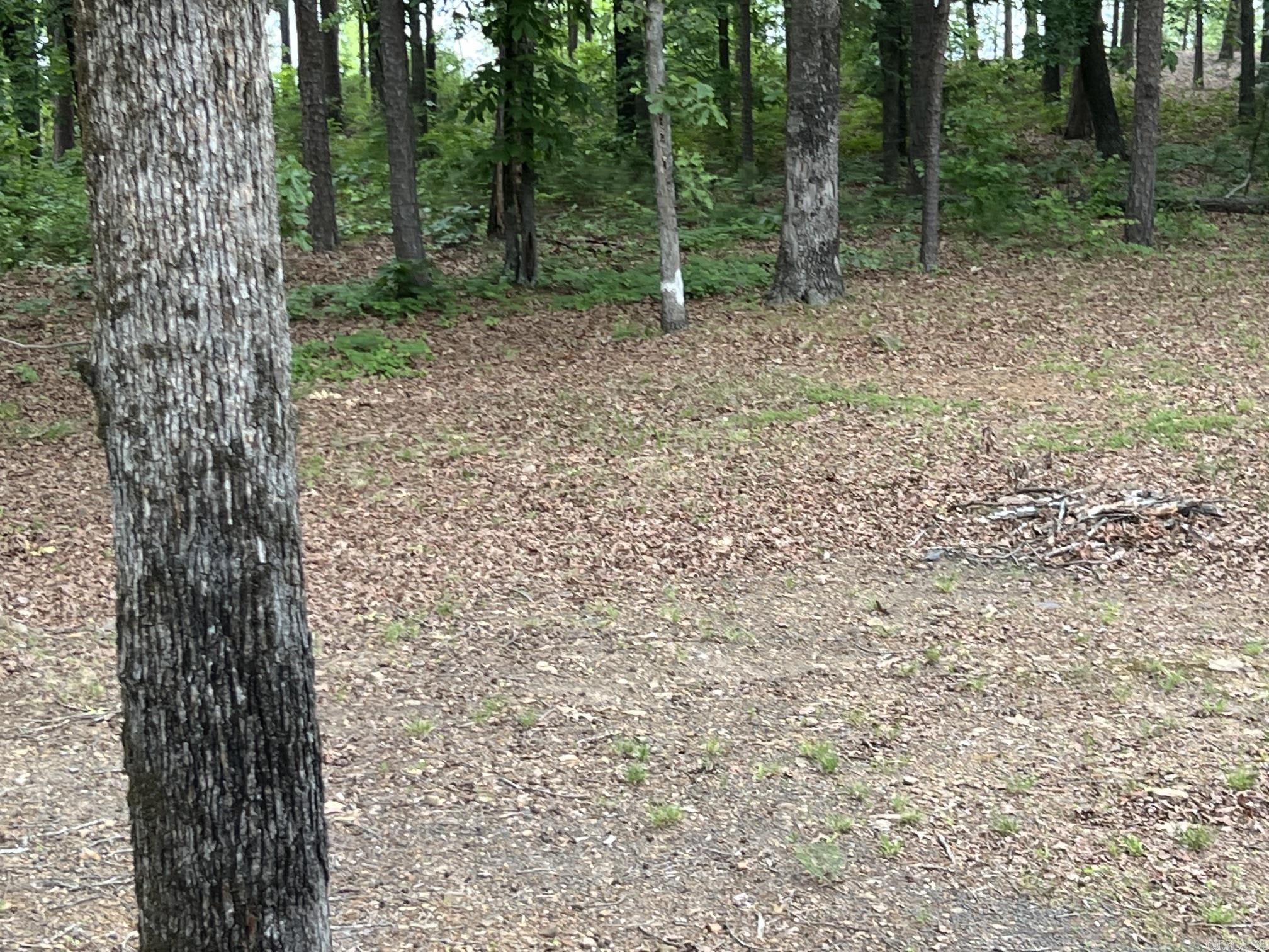 289 DIKE VIEW  Heber Springs, AR