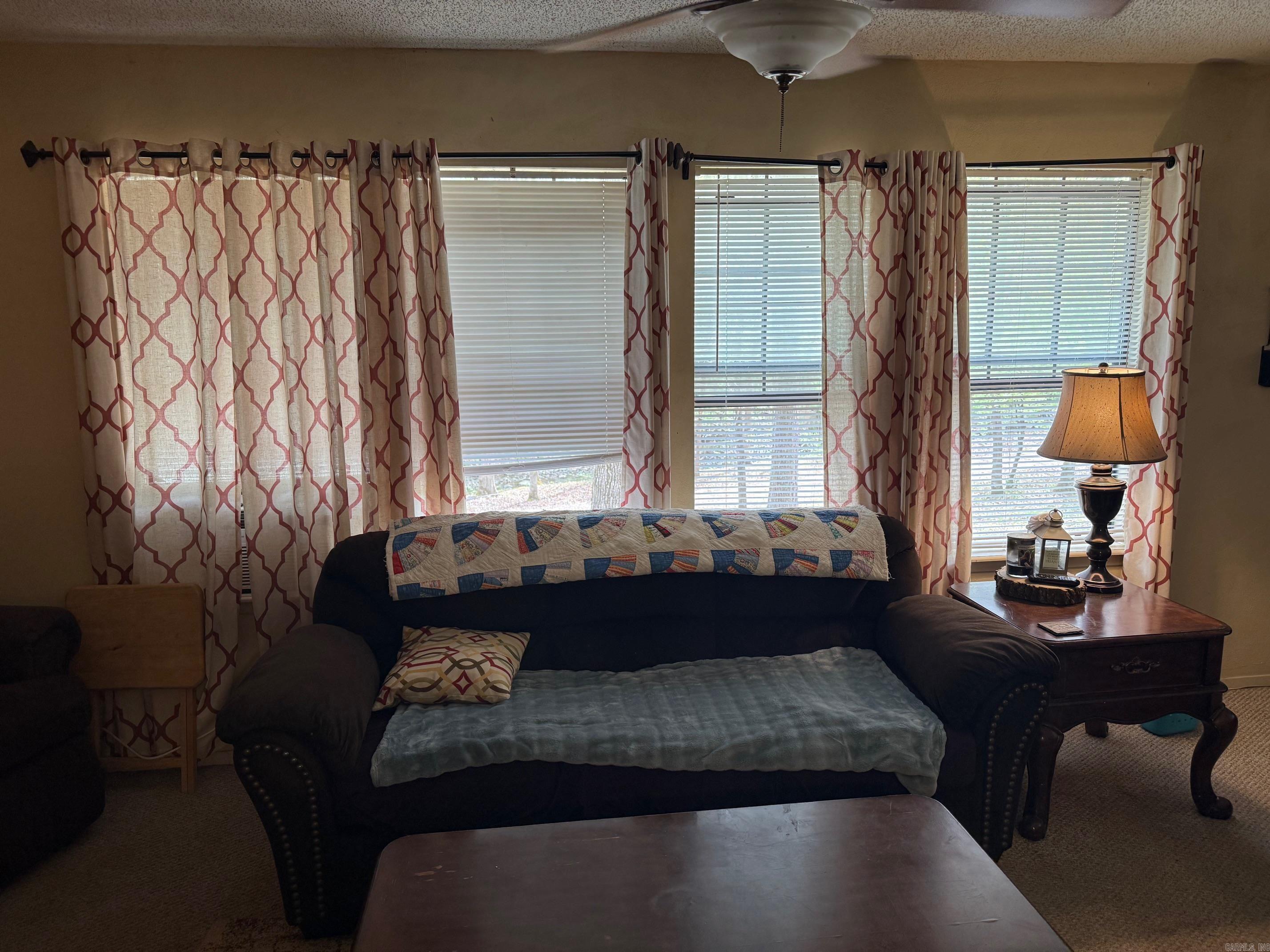 1299 E Hwy 246 Vandervoort, AR 71972