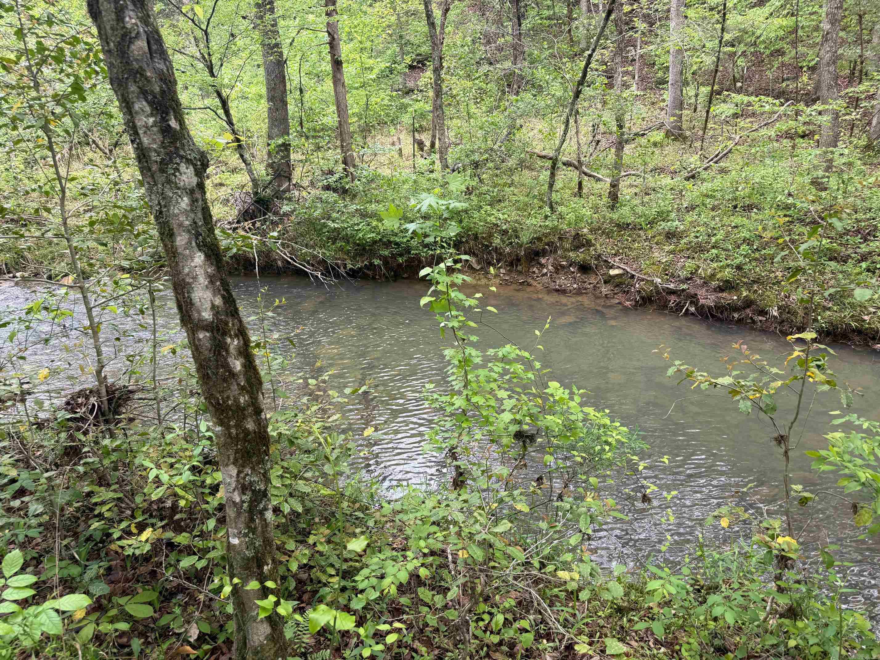 1299 E Hwy 246 Vandervoort, AR 71972