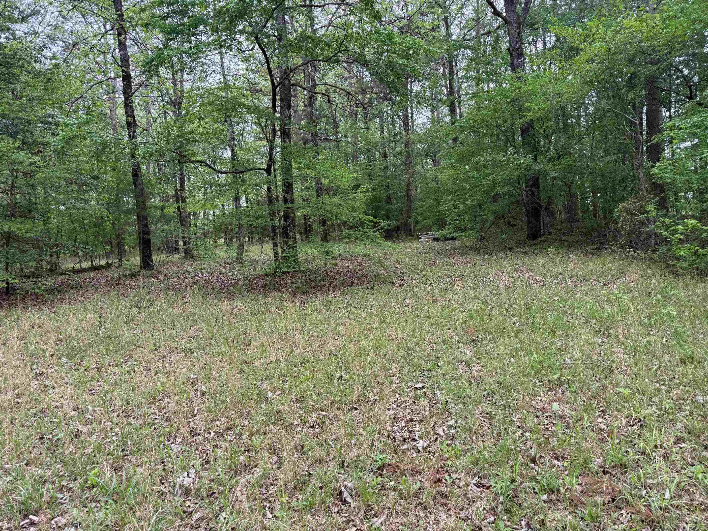 1299 E Hwy 246 Vandervoort, AR 71972