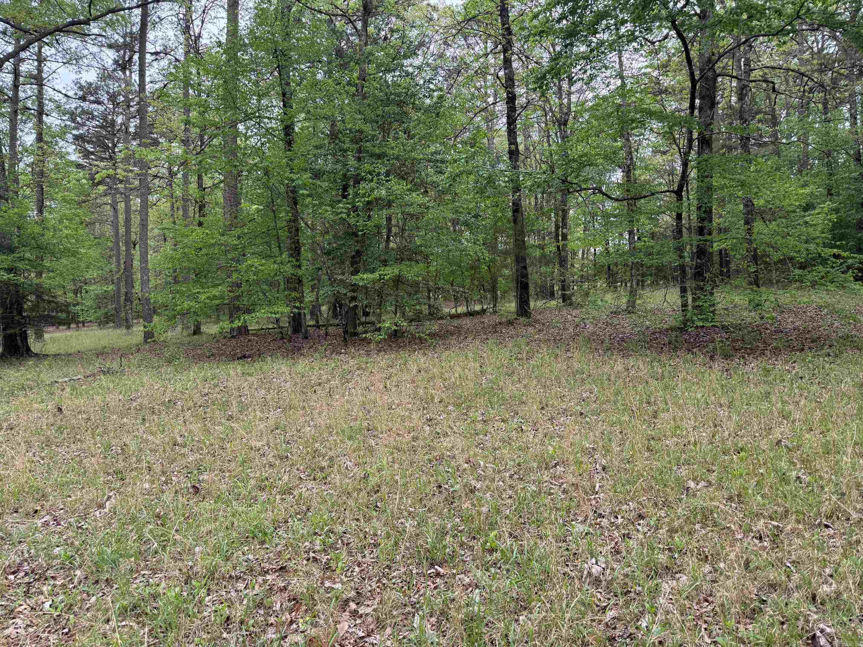 1299 E Hwy 246 Vandervoort, AR 71972