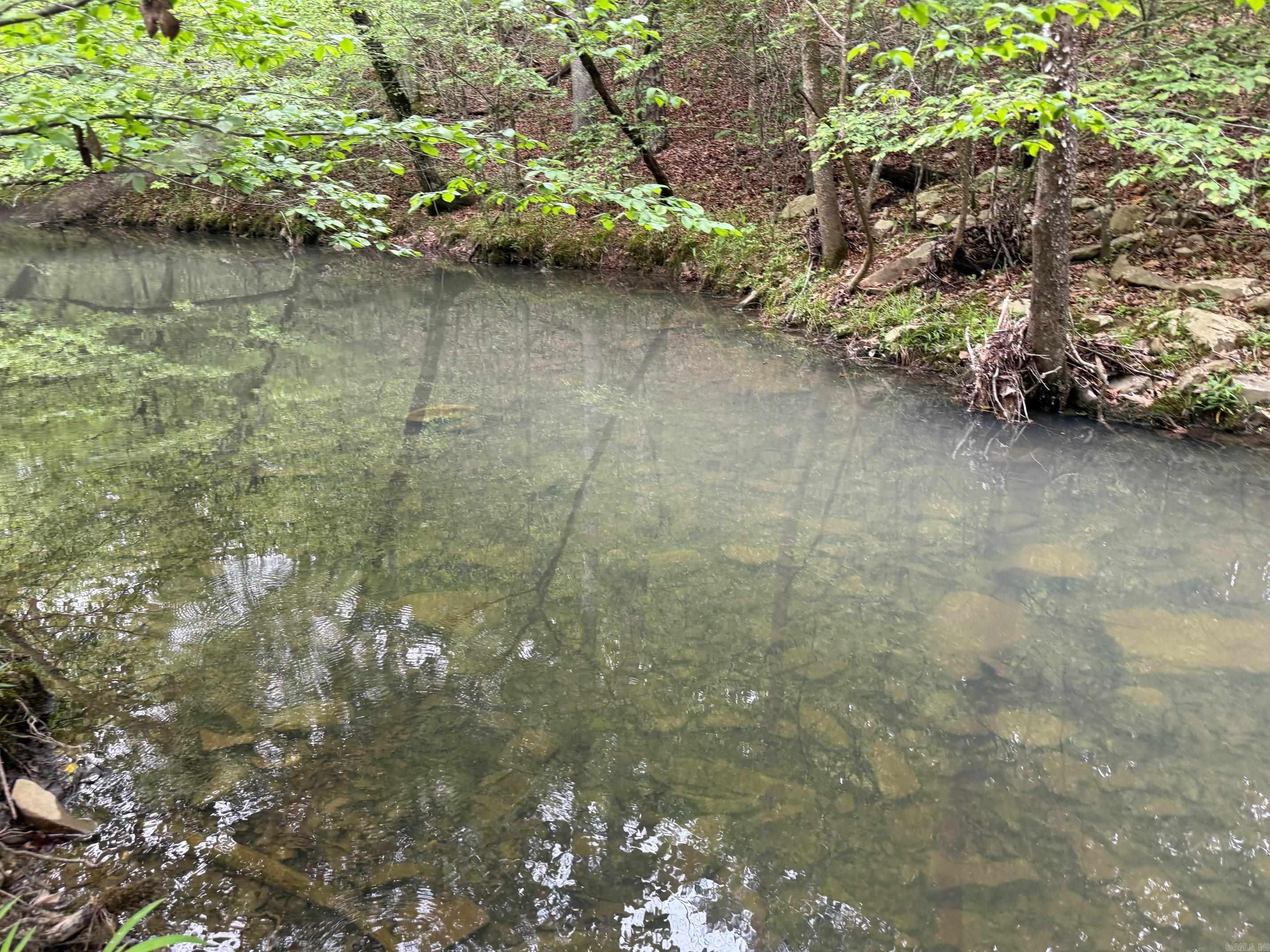 1299 E Hwy 246 Vandervoort, AR 71972