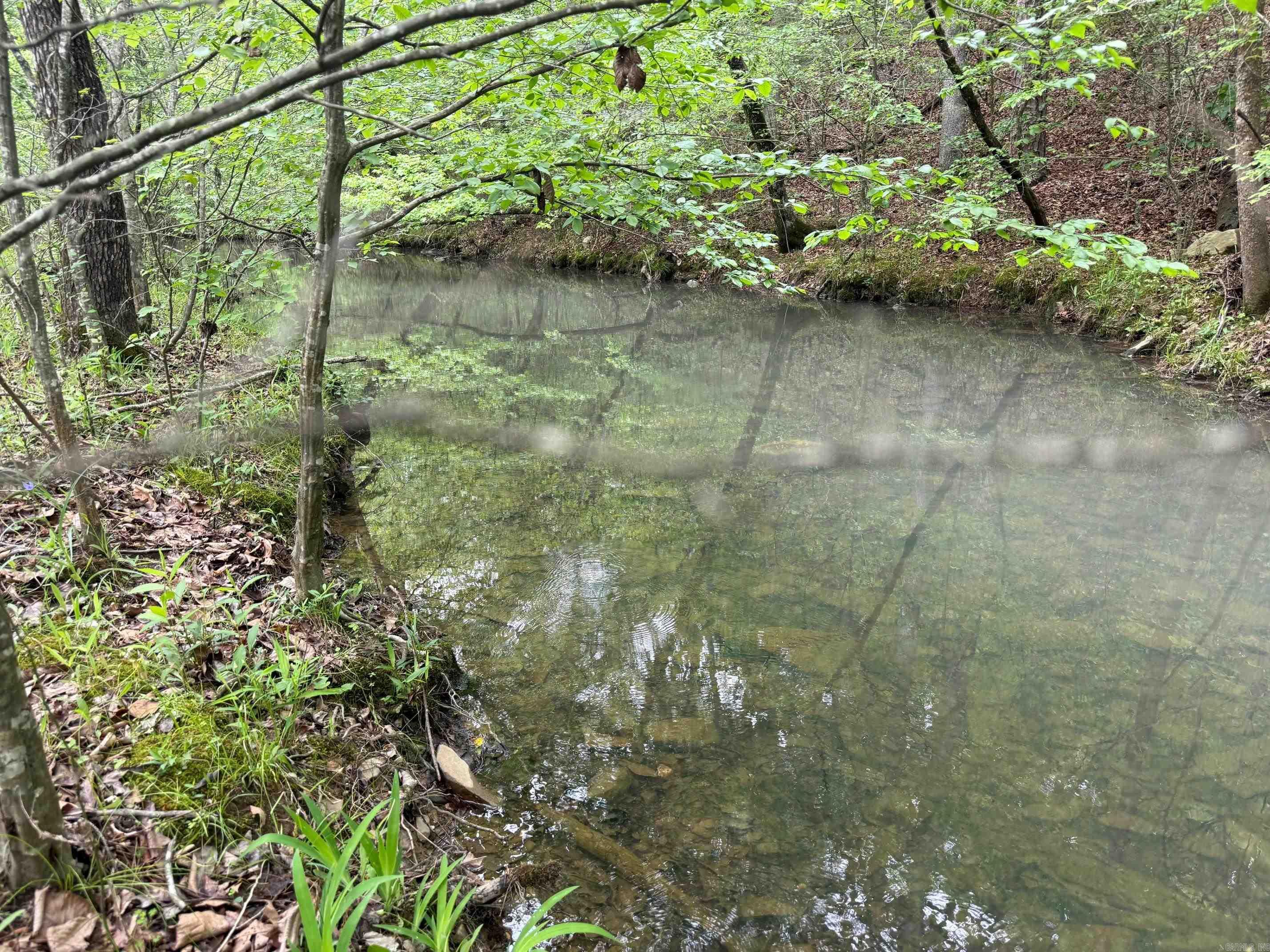 1299 E Hwy 246 Vandervoort, AR 71972