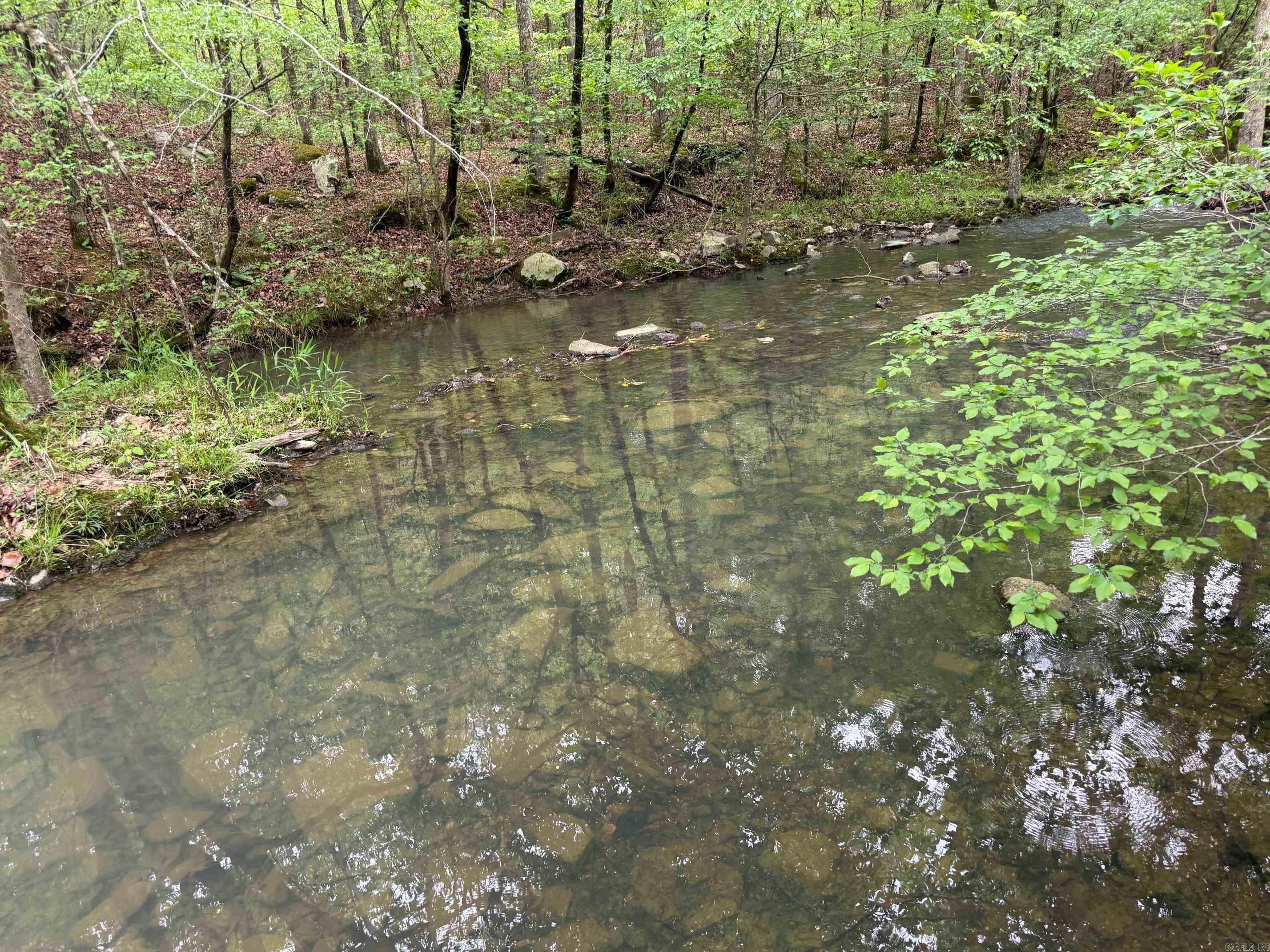 1299 E Hwy 246 Vandervoort, AR 71972