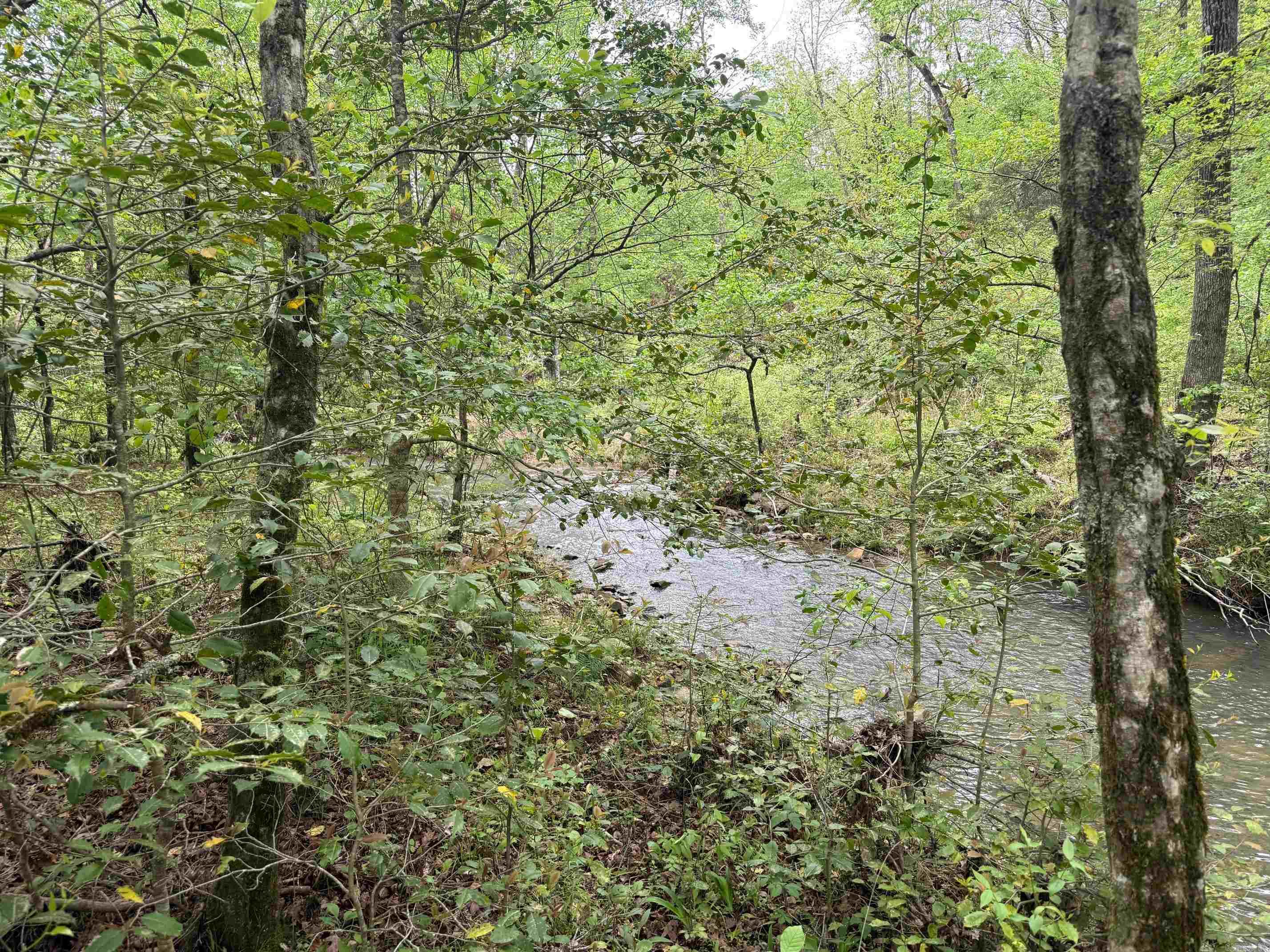 1299 E Hwy 246 Vandervoort, AR 71972