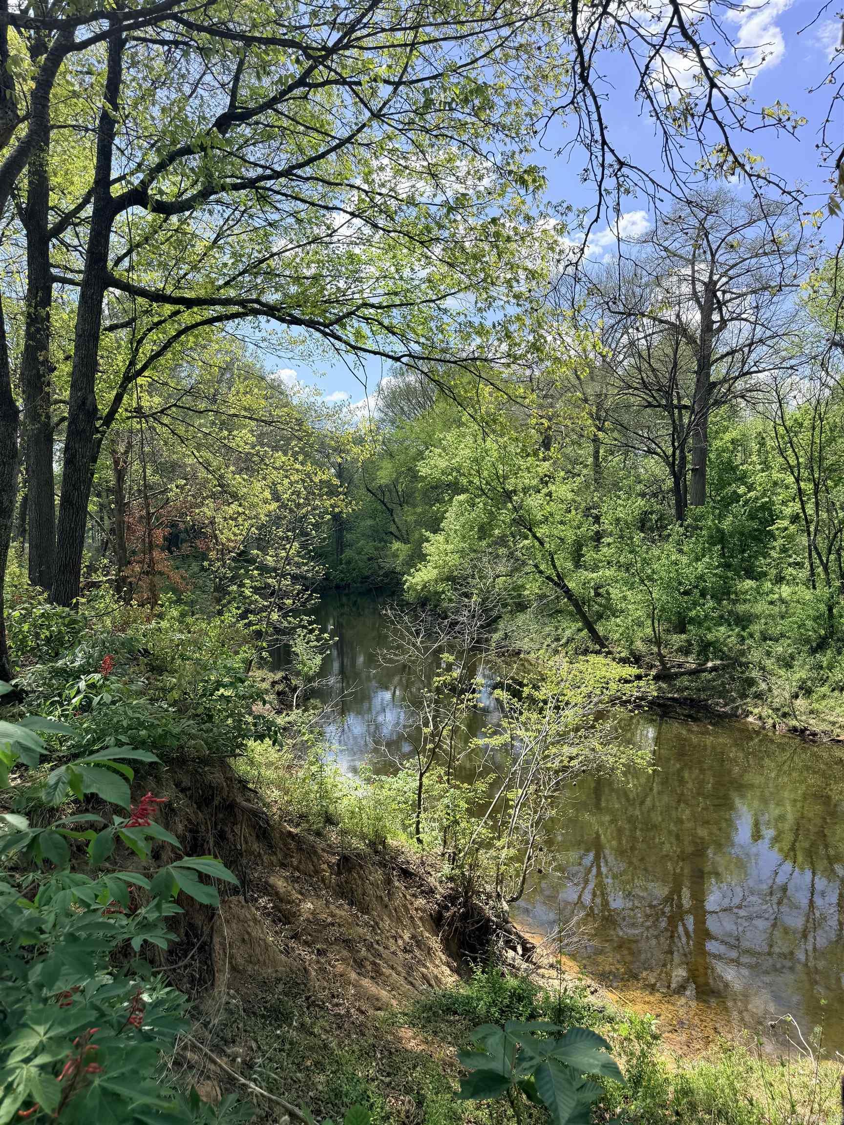 000 Sunshine Lot 19A River Creek Estates Pangburn, AR