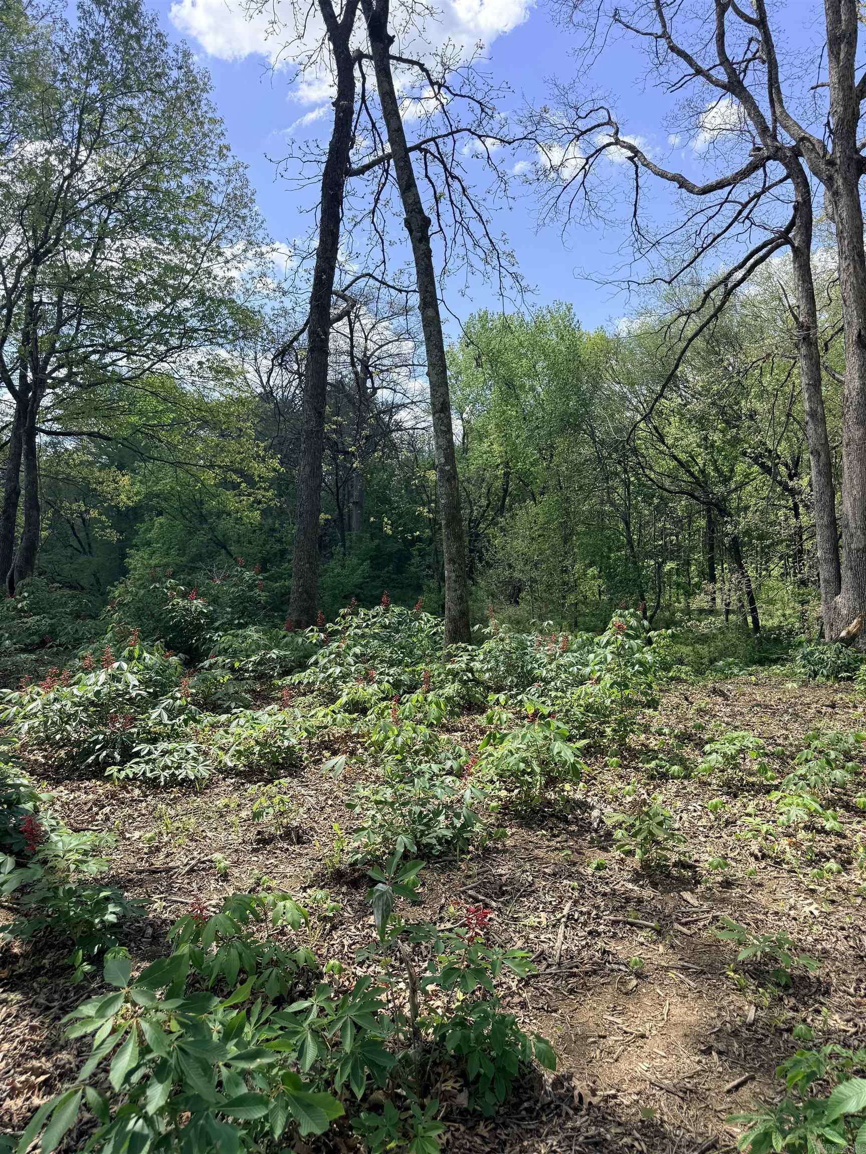 000 Sunshine Lot 19A River Creek Estates Pangburn, AR