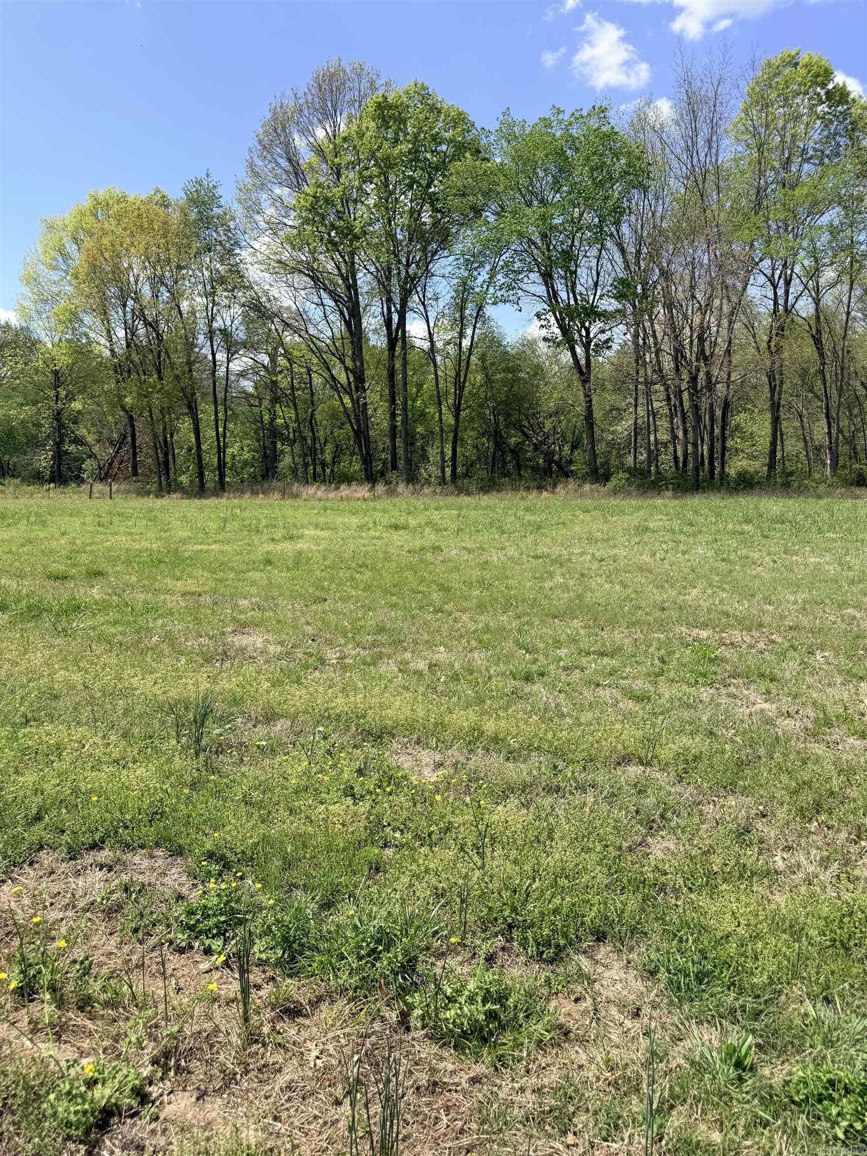 000 Sunshine Lot 19A River Creek Estates Pangburn, AR