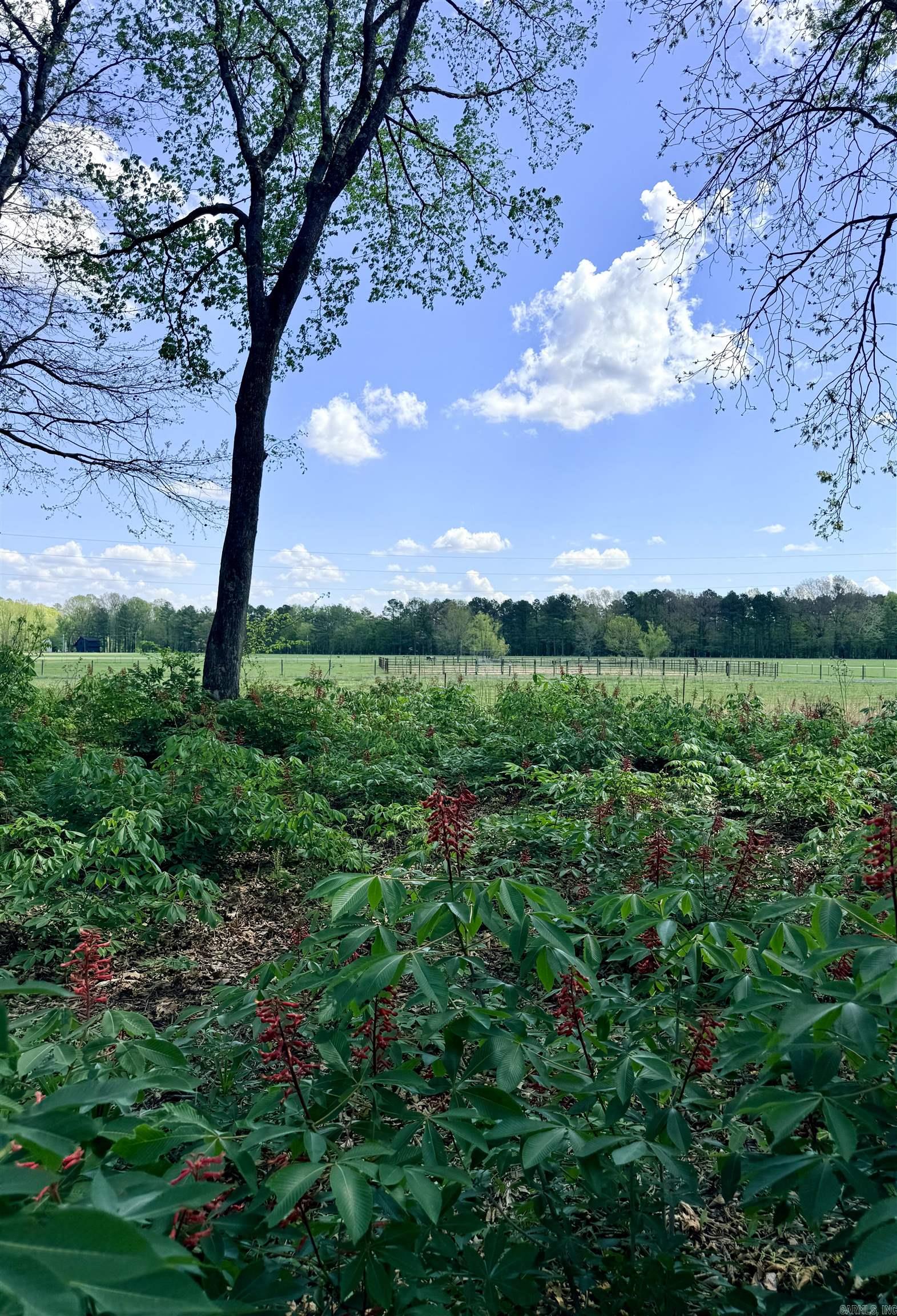 000 Sunshine Lot 19A River Creek Estates Pangburn, AR