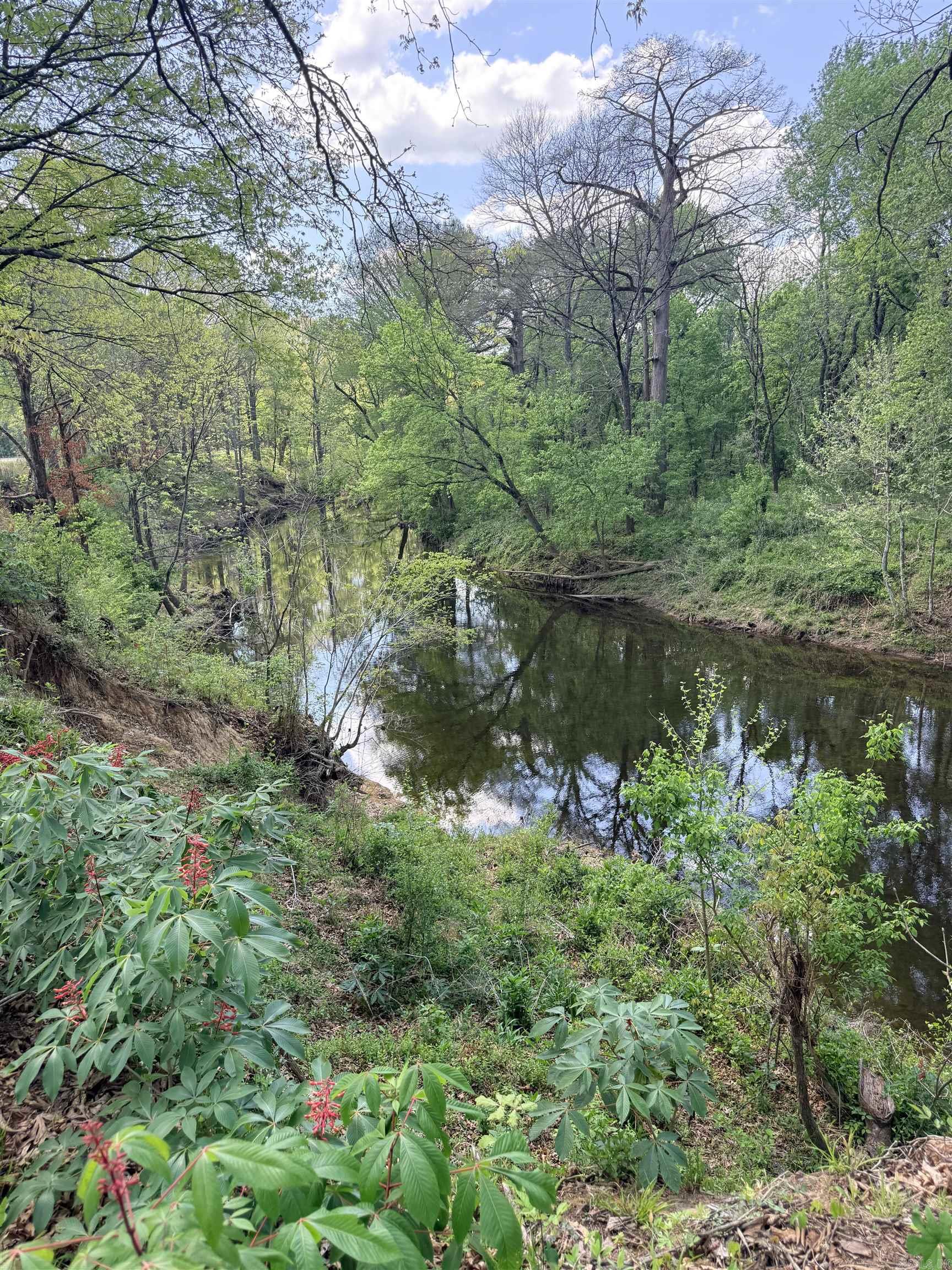 000 Sunshine Lot 19A River Creek Estates Pangburn, AR
