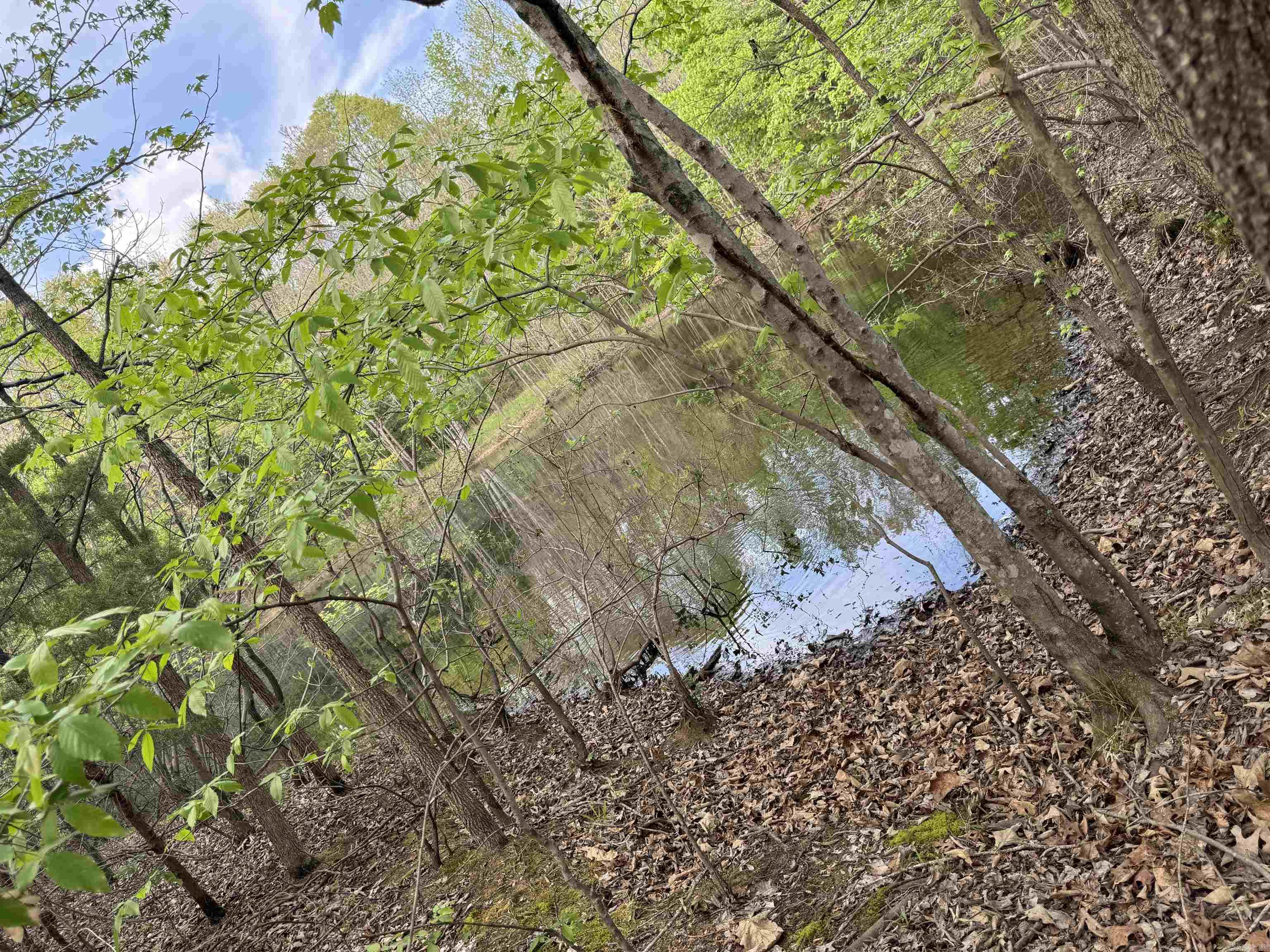 0 CR 455  Piggott, AR