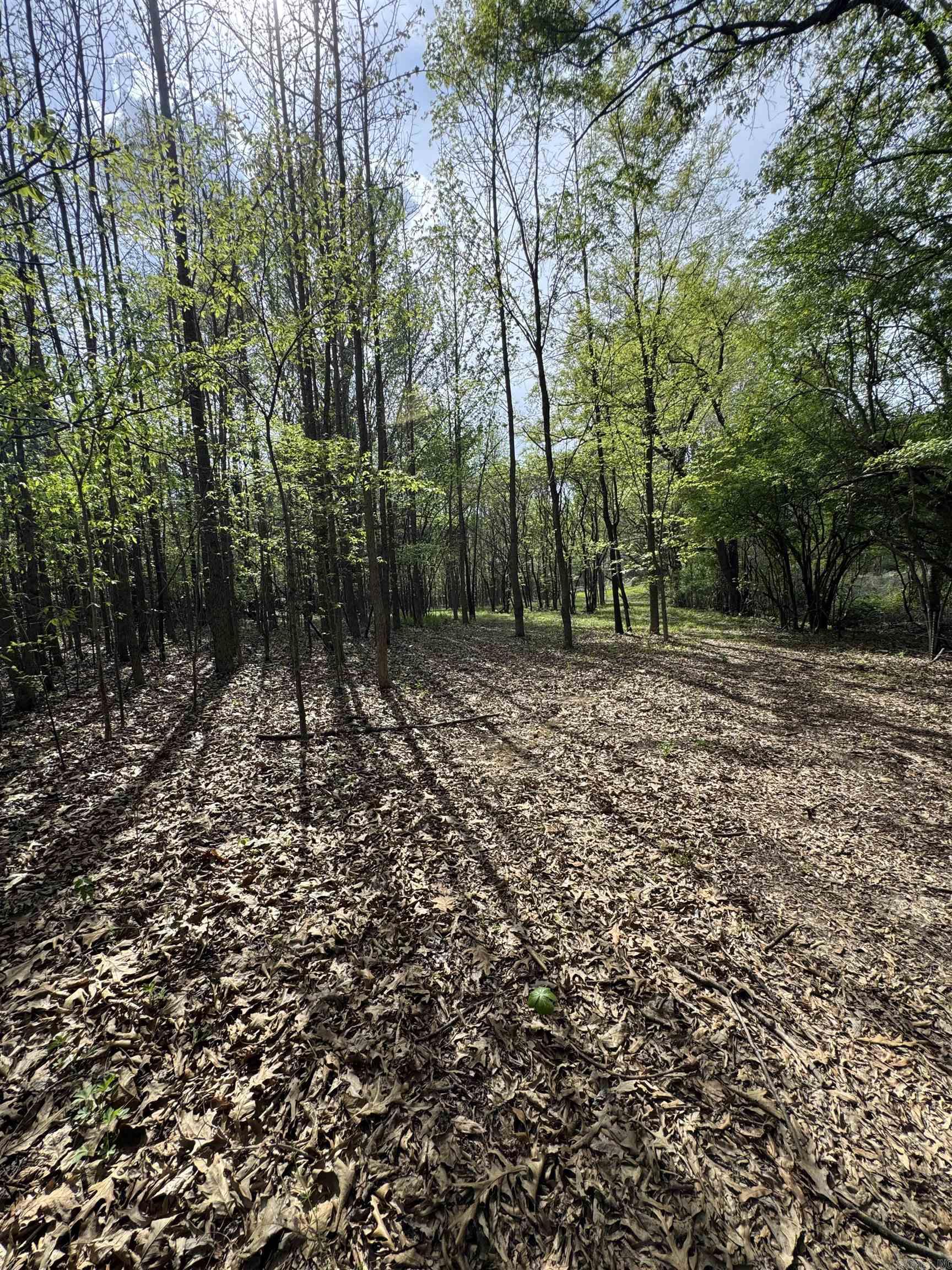 0 CR 455  Piggott, AR