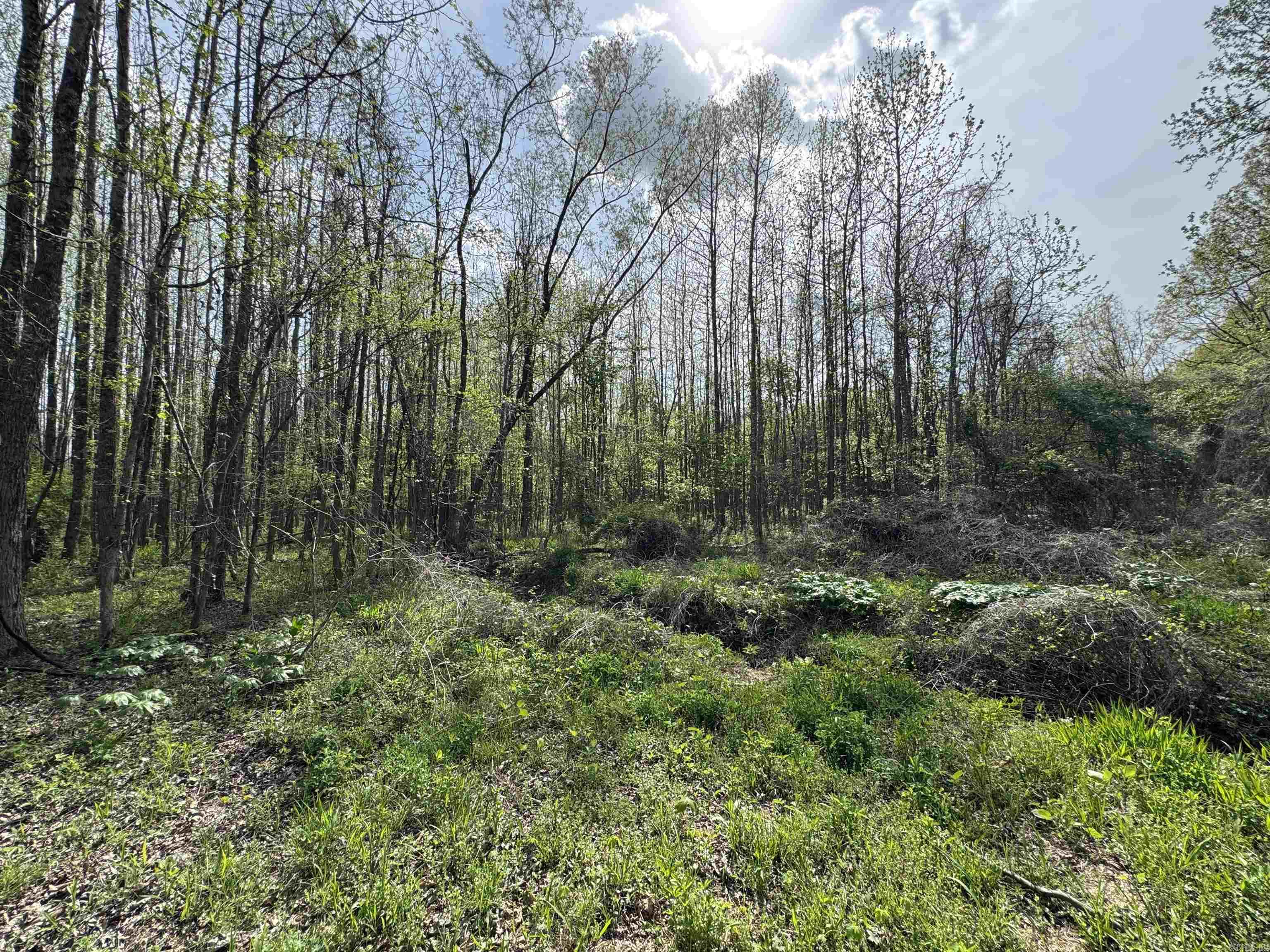 0 CR 455  Piggott, AR